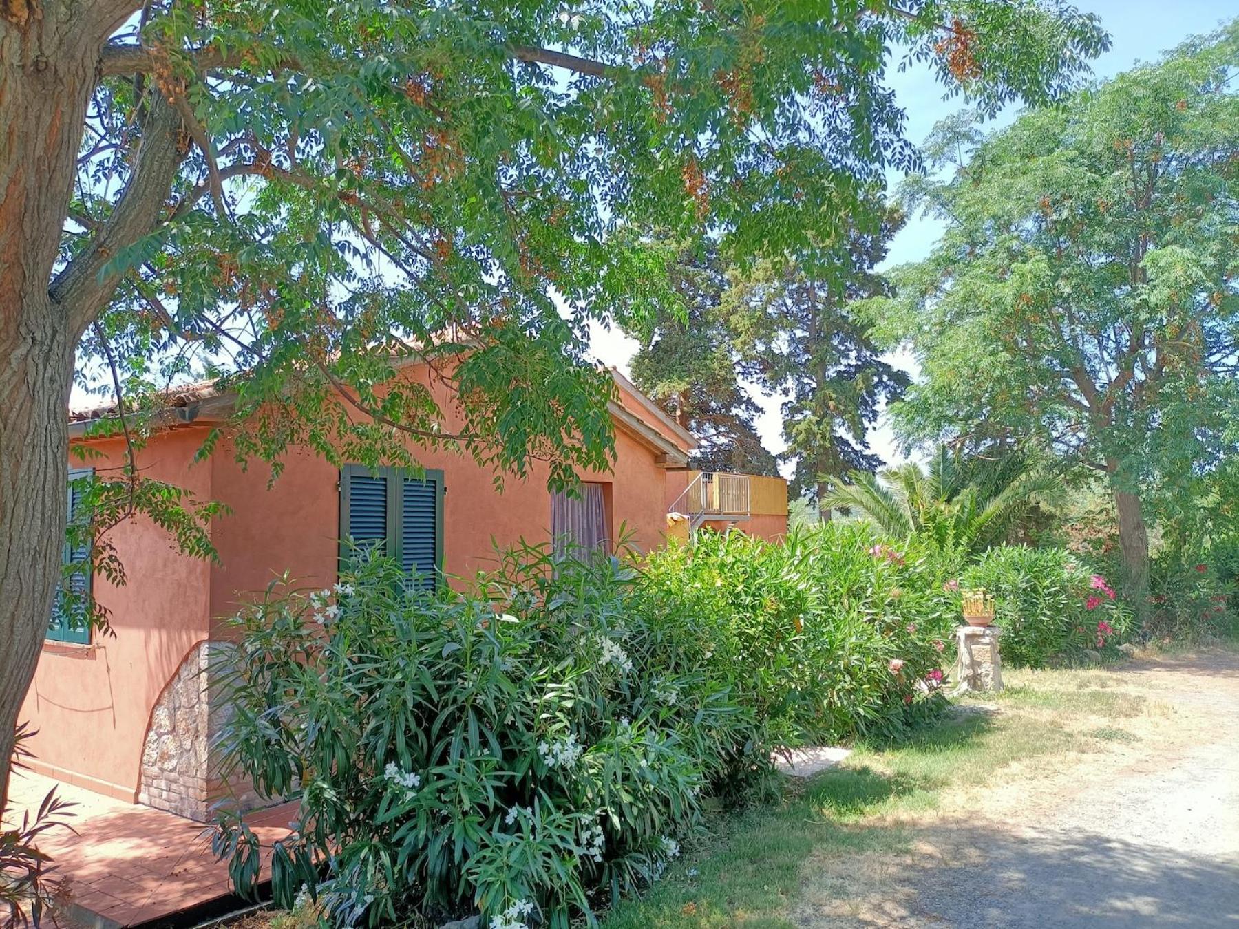 Double or Twin Room photo 2