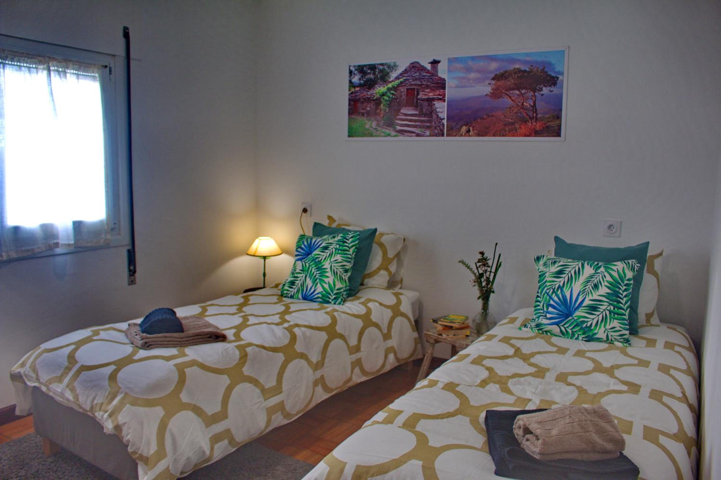 Apartment with Terrace photo 3