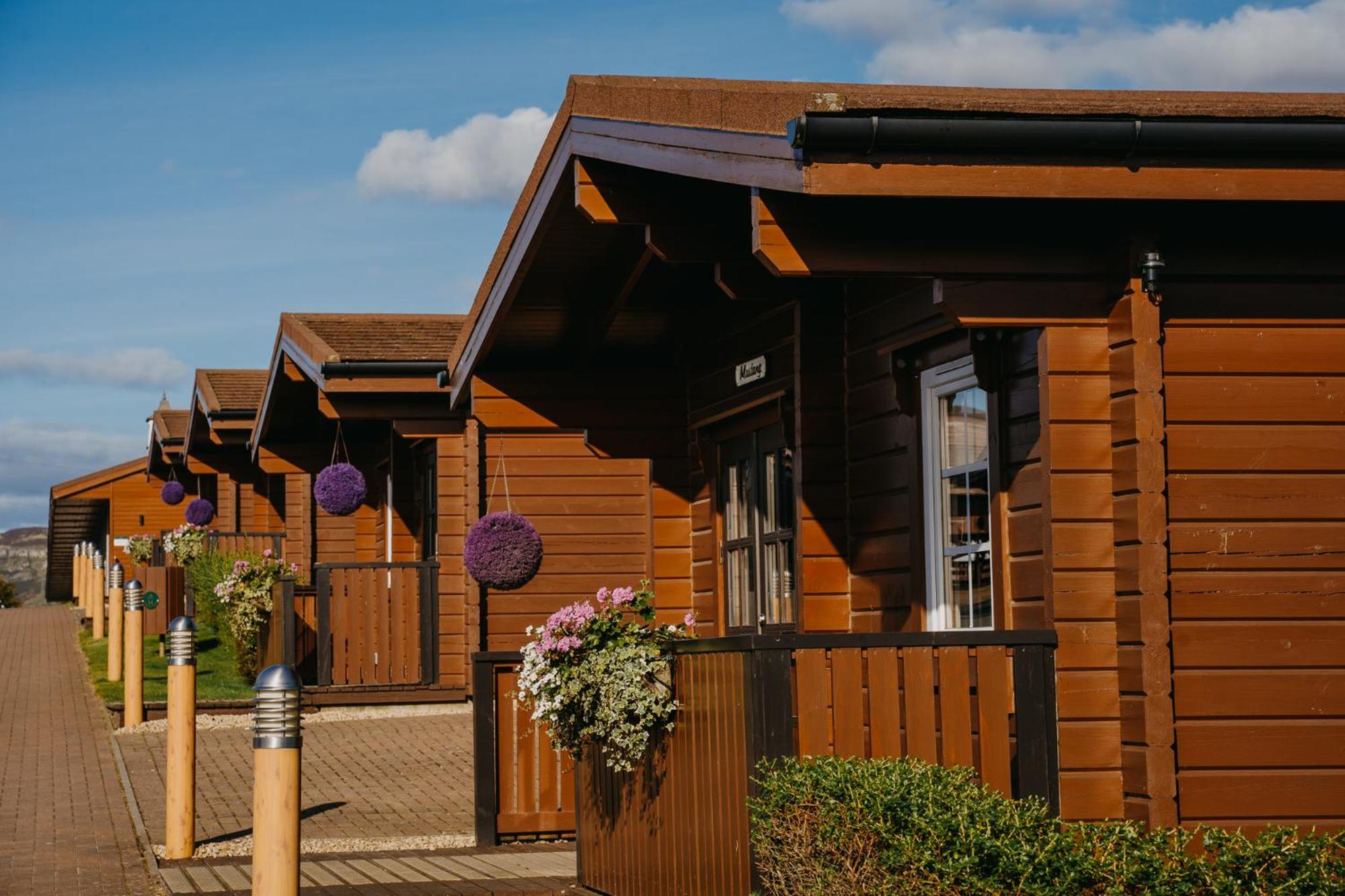 Two-Bedroom Lodge photo 3