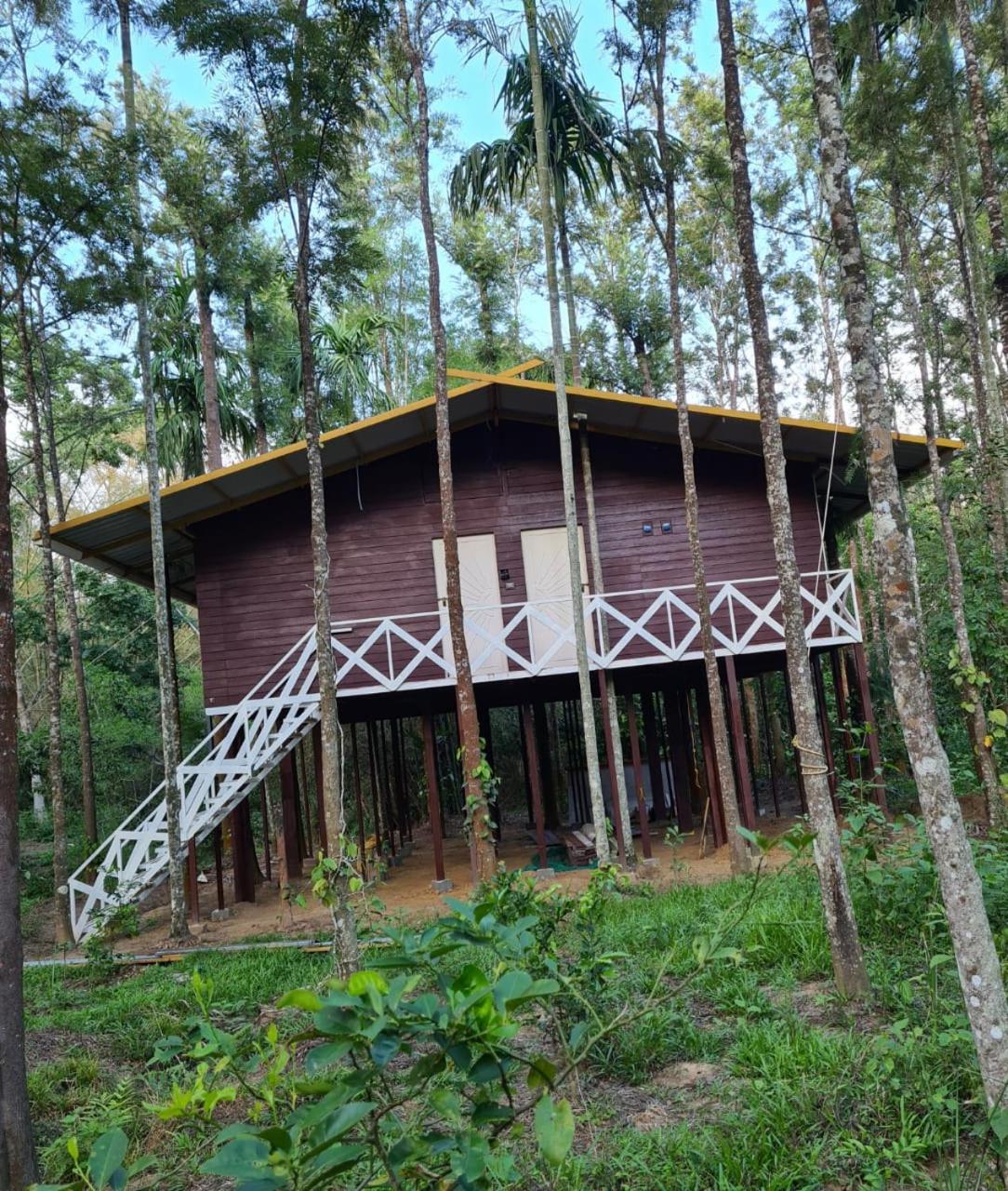 King Room With Lake View photo 2