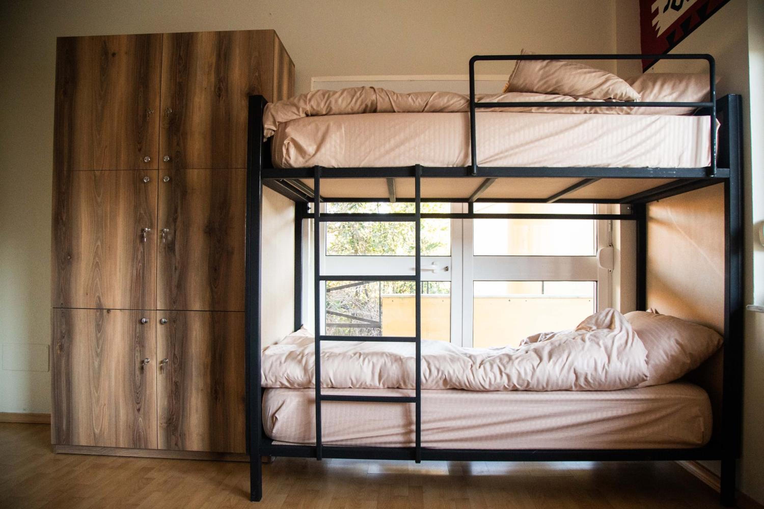 Bunk Bed in Mixed Dormitory Room
