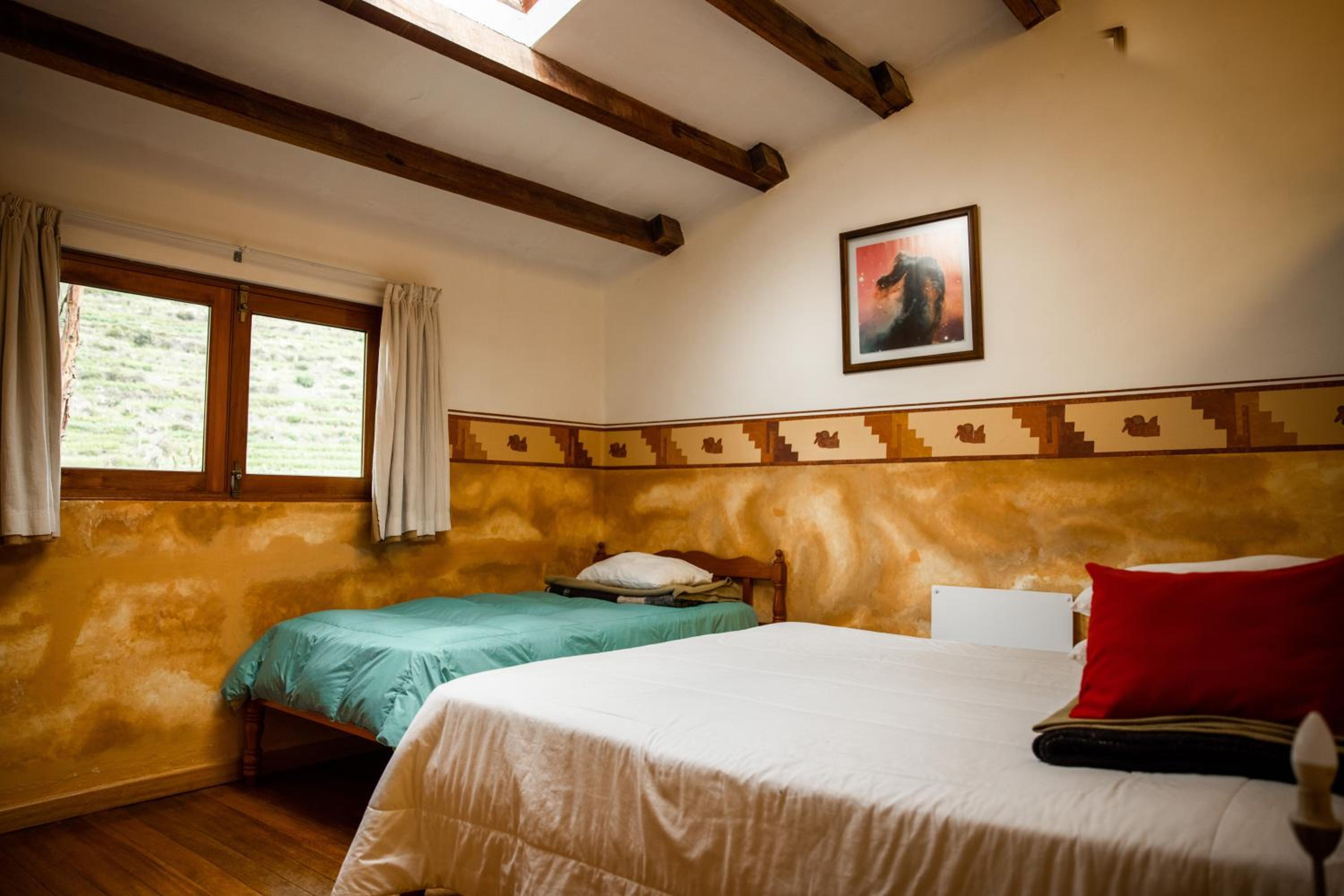 Twin Room photo 2