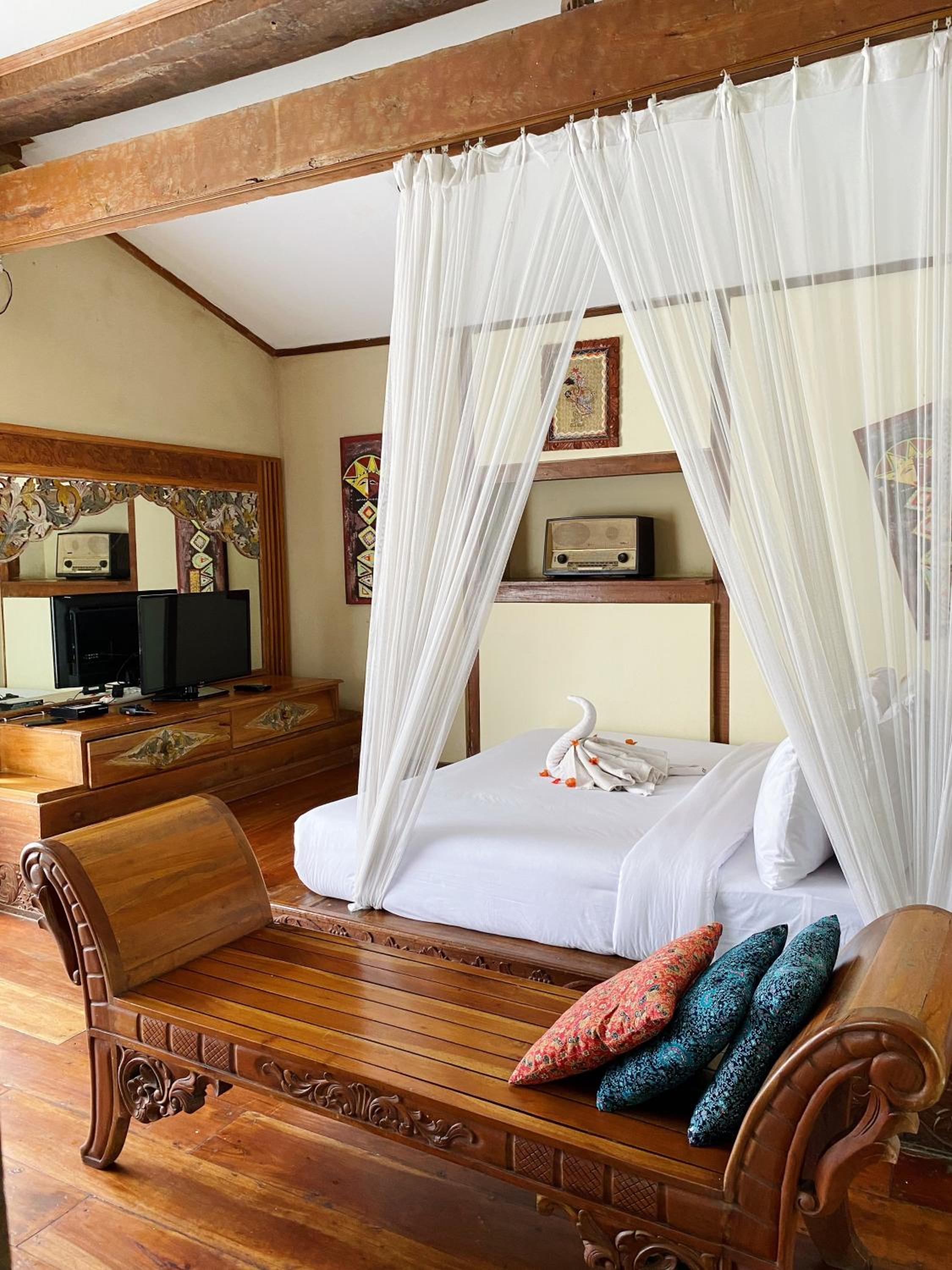 Suite - Photo 1