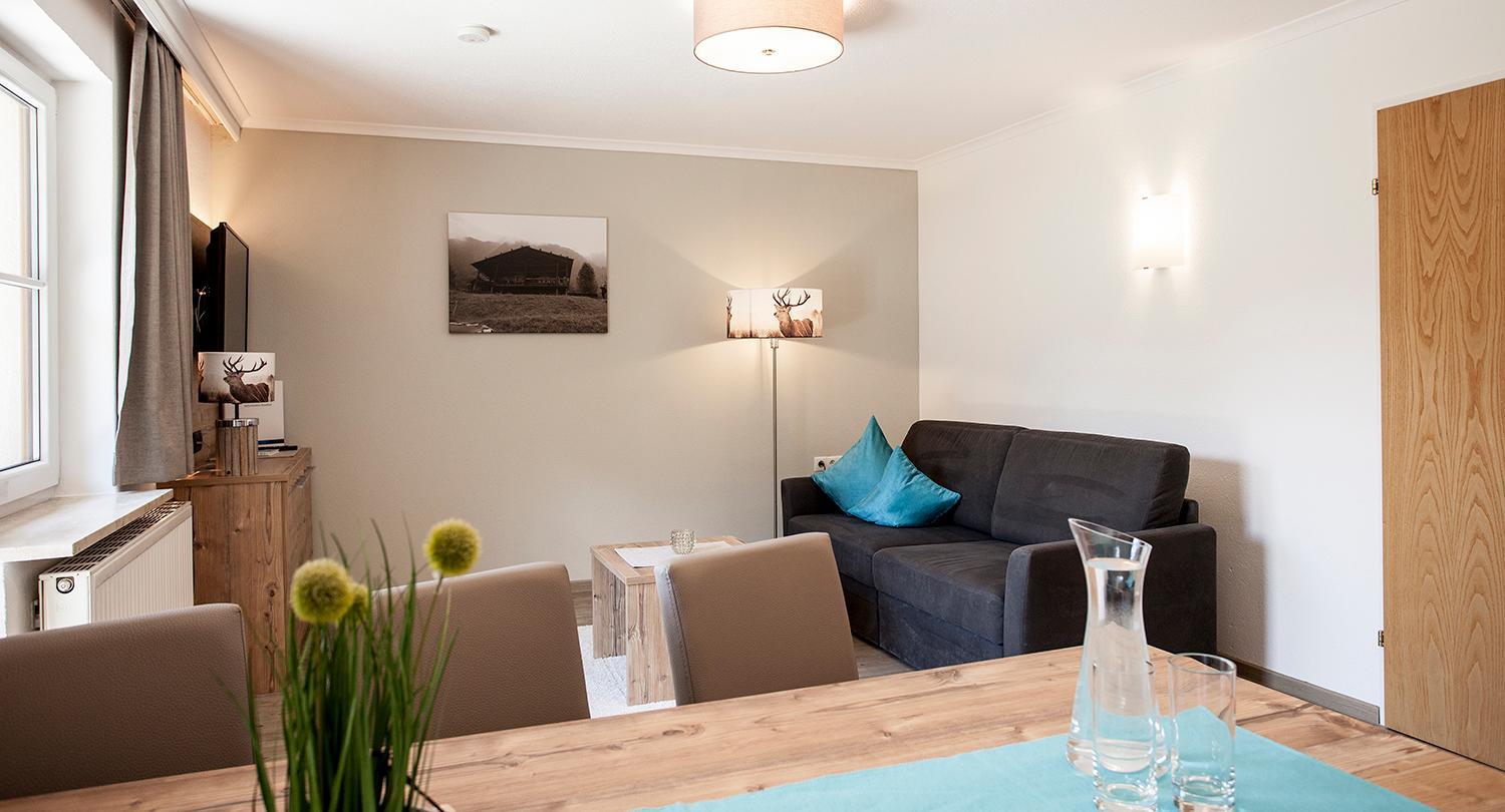 Apartment With Terrace photo 1