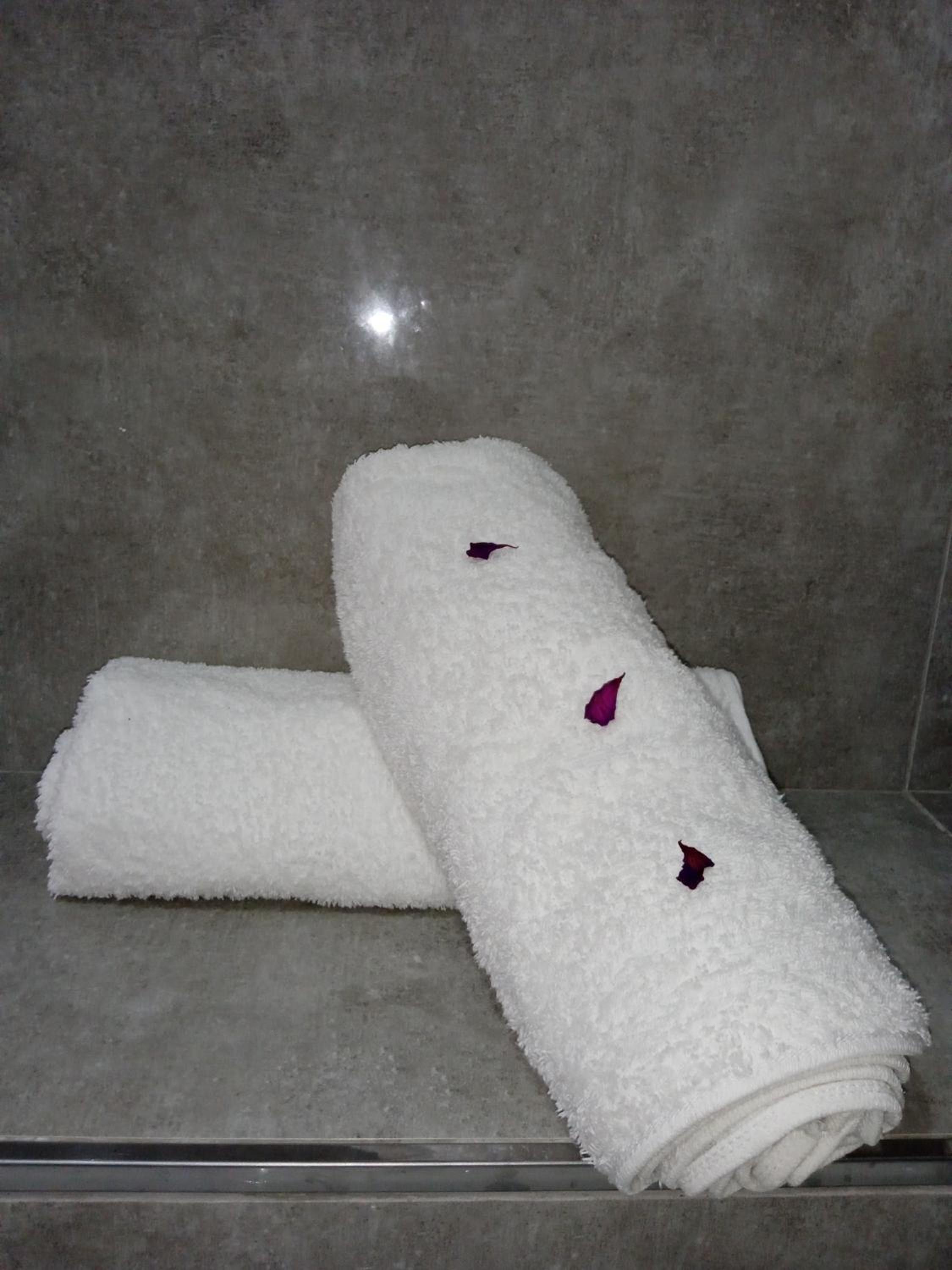 Double or Twin Room photo 2