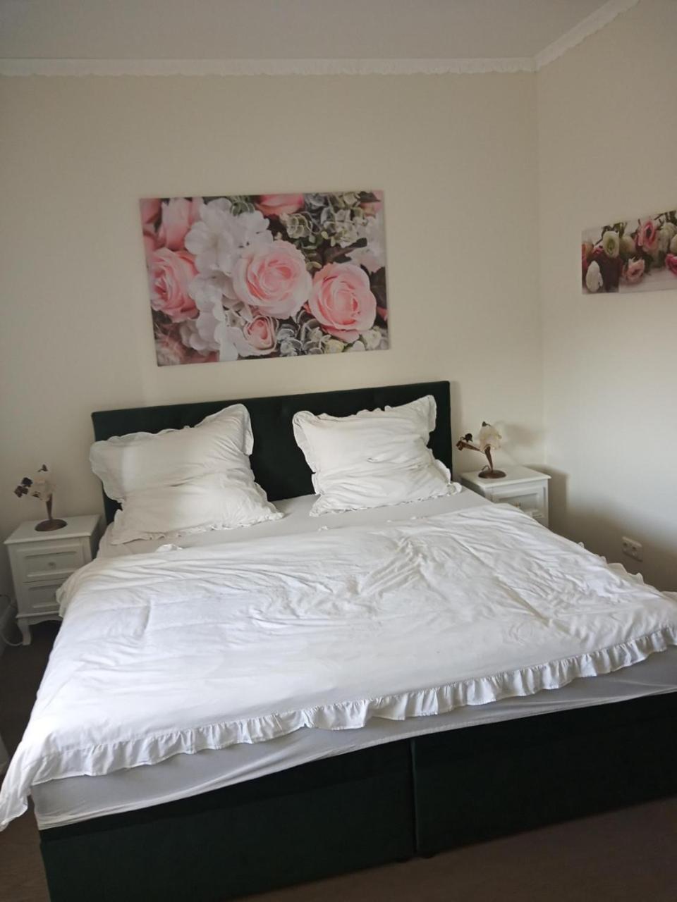 King Studio - Photo 1