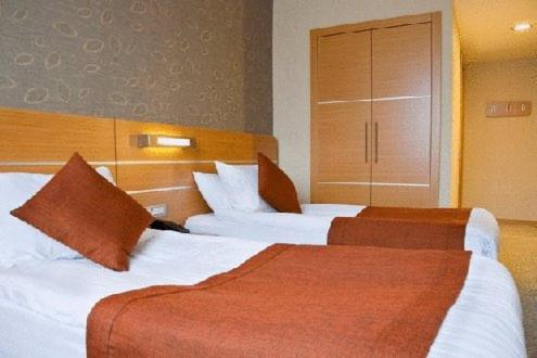 Twin Room photo 3