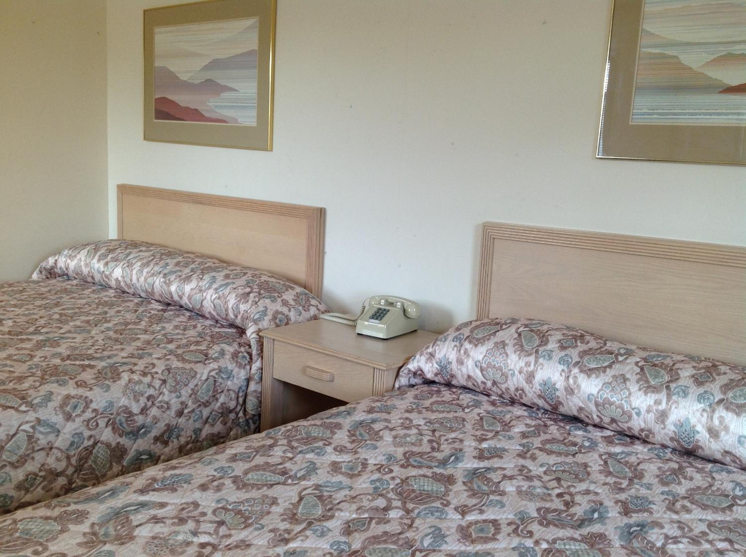 King Double Room photo 1