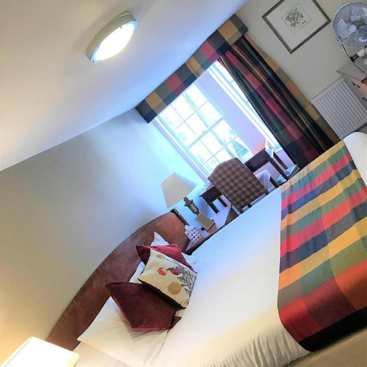 Standard Double Room photo 3