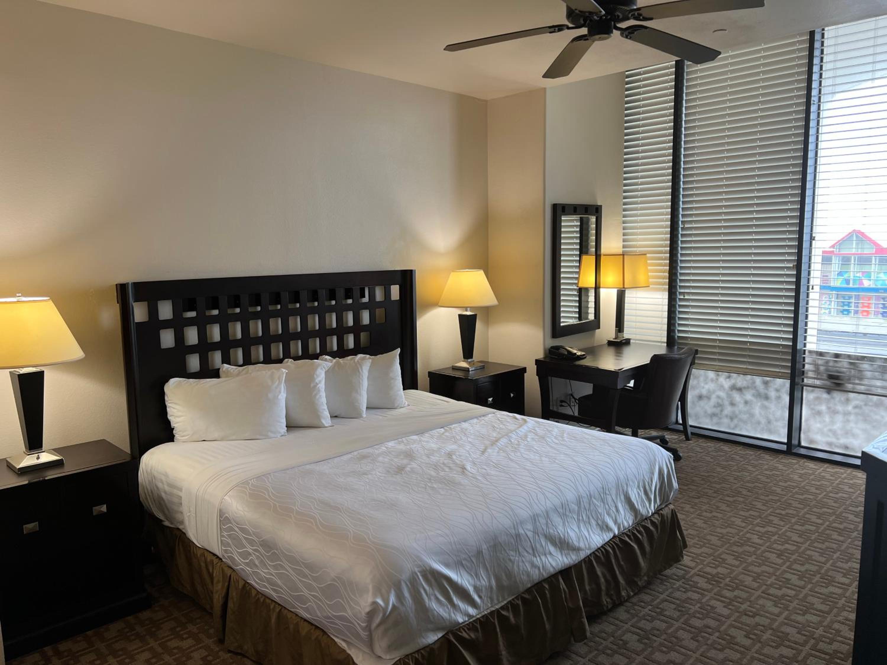 King Room - Photo 1
