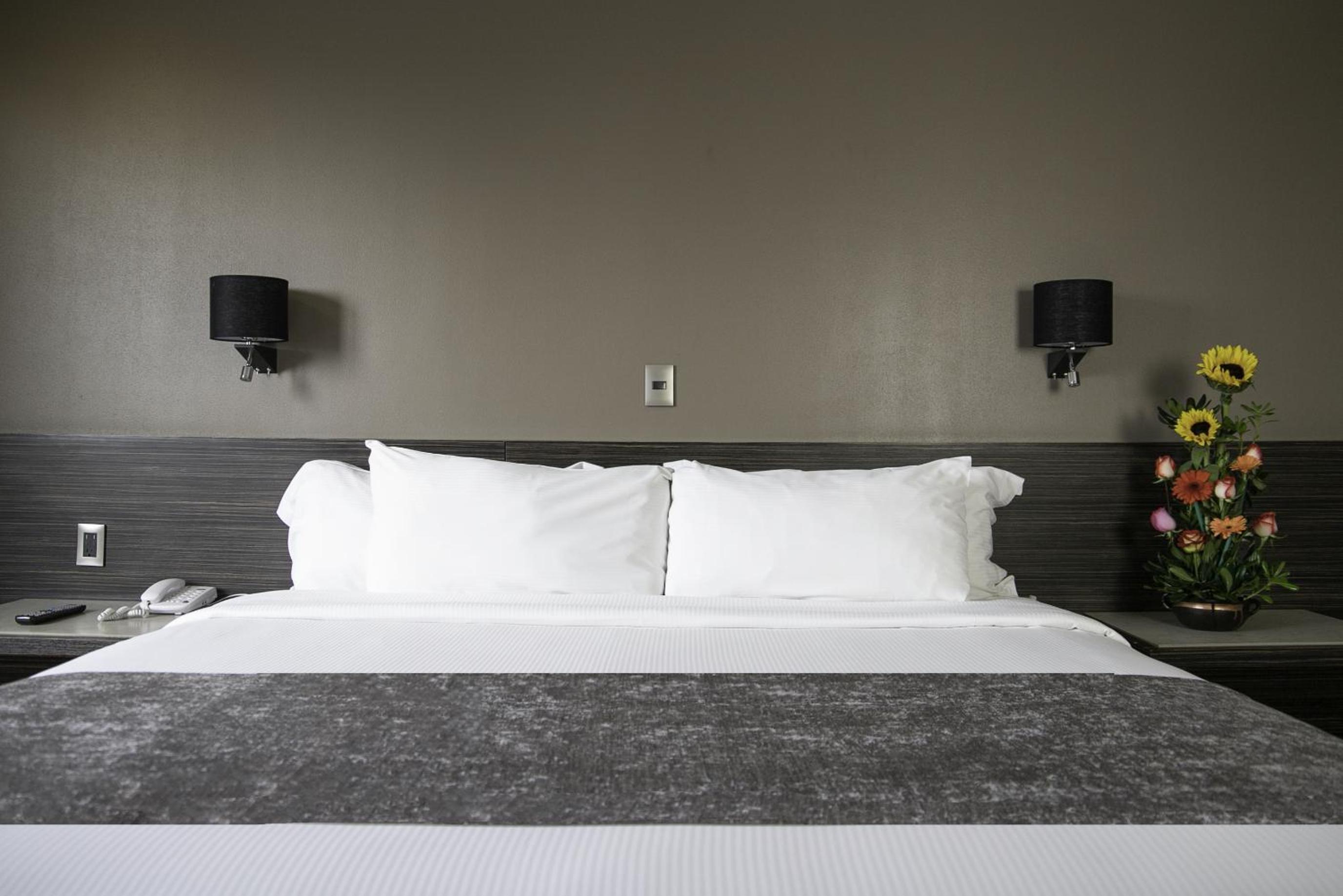 King Room photo 1