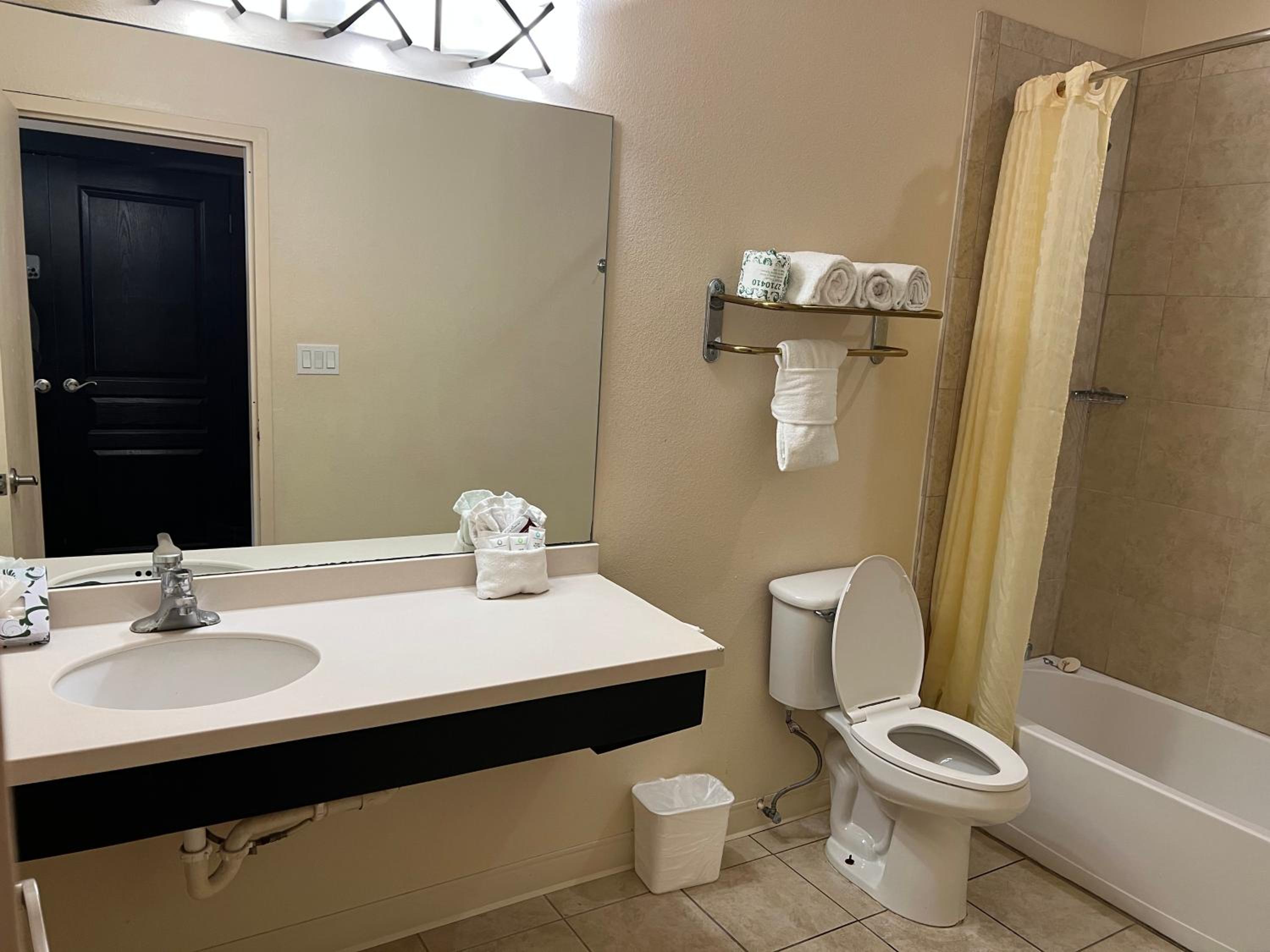 Deluxe Queen with Kitchenette and Sofa Bed - Photo 17