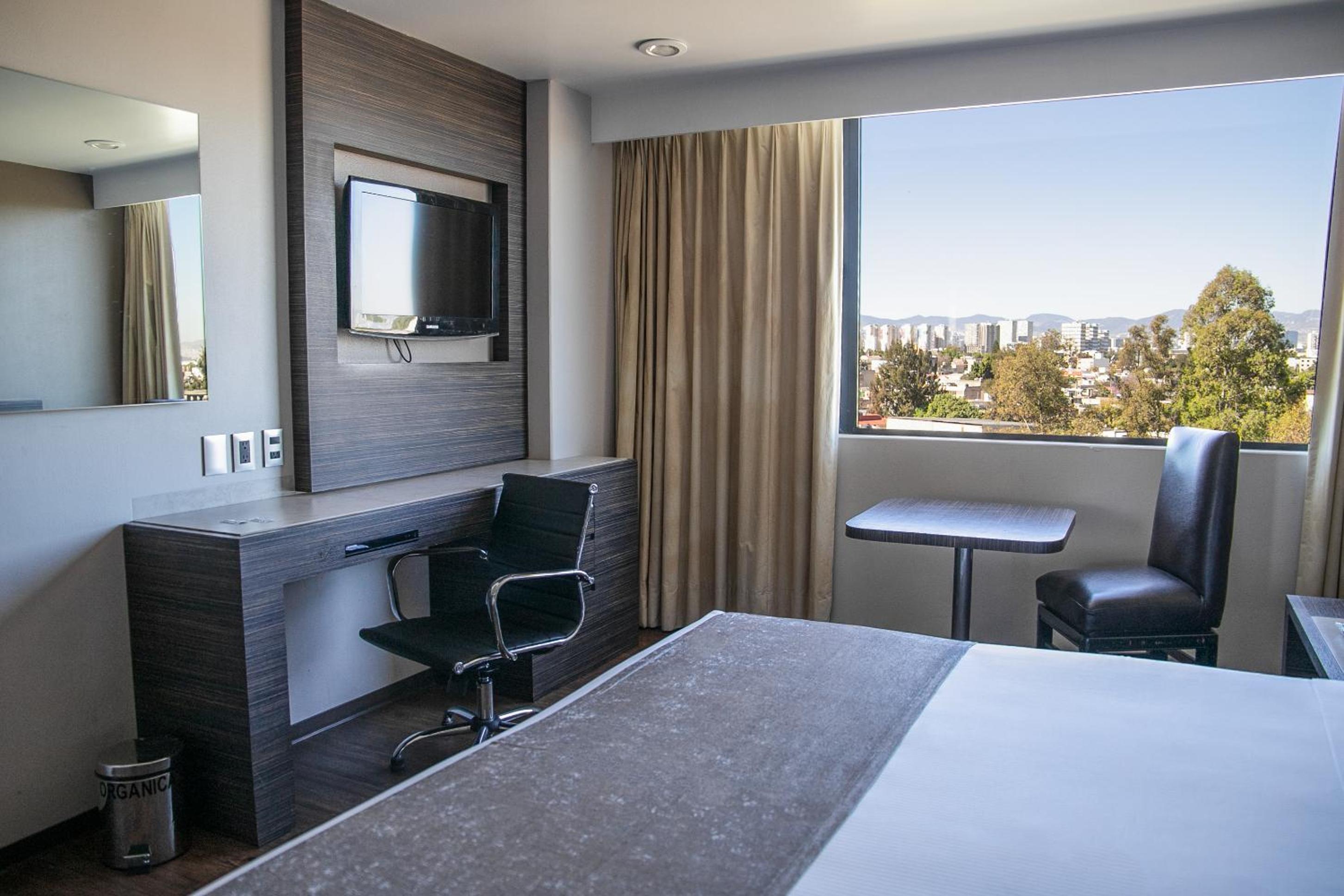 King Room photo 2