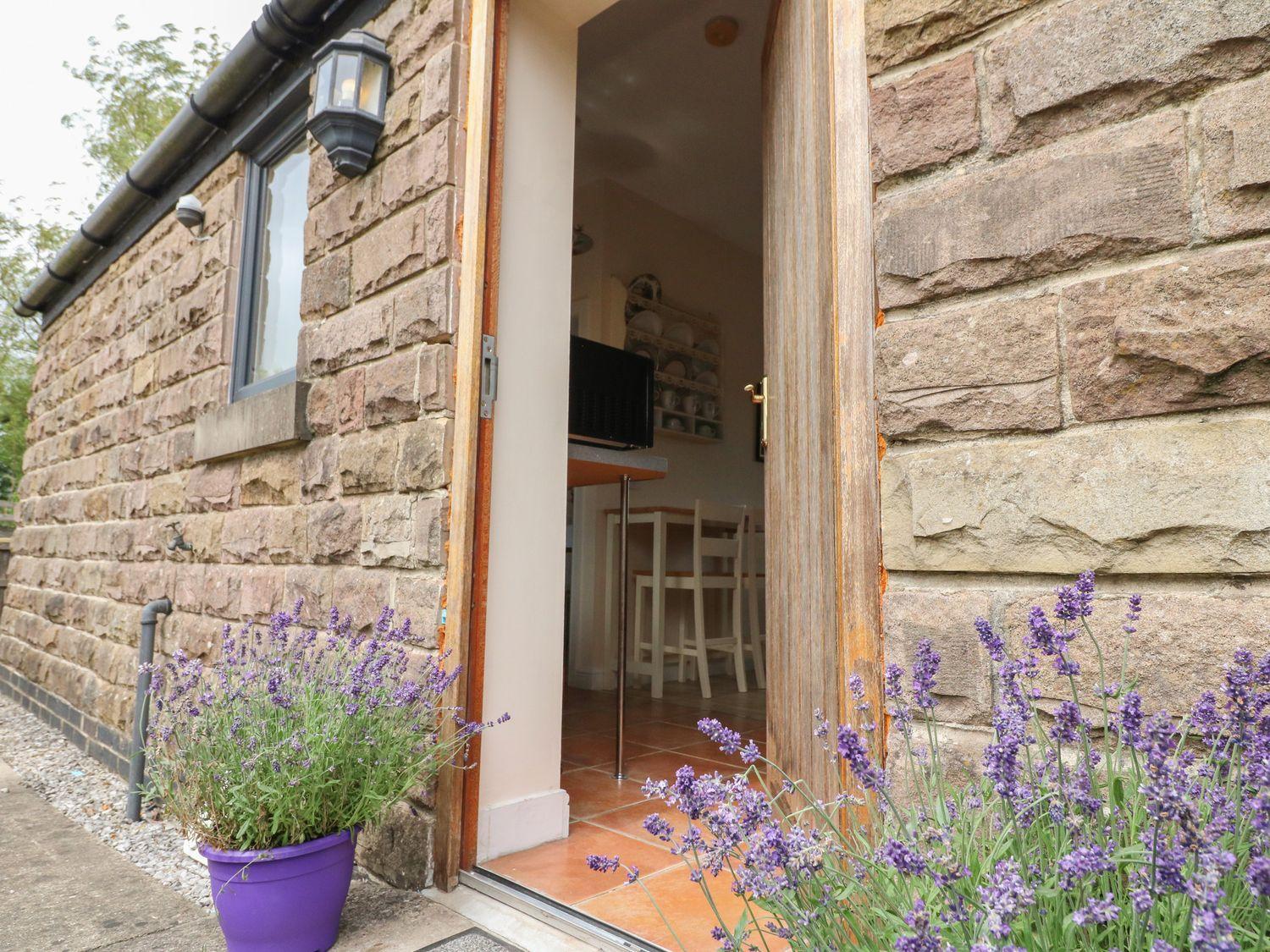 One-Bedroom Cottage photo 3