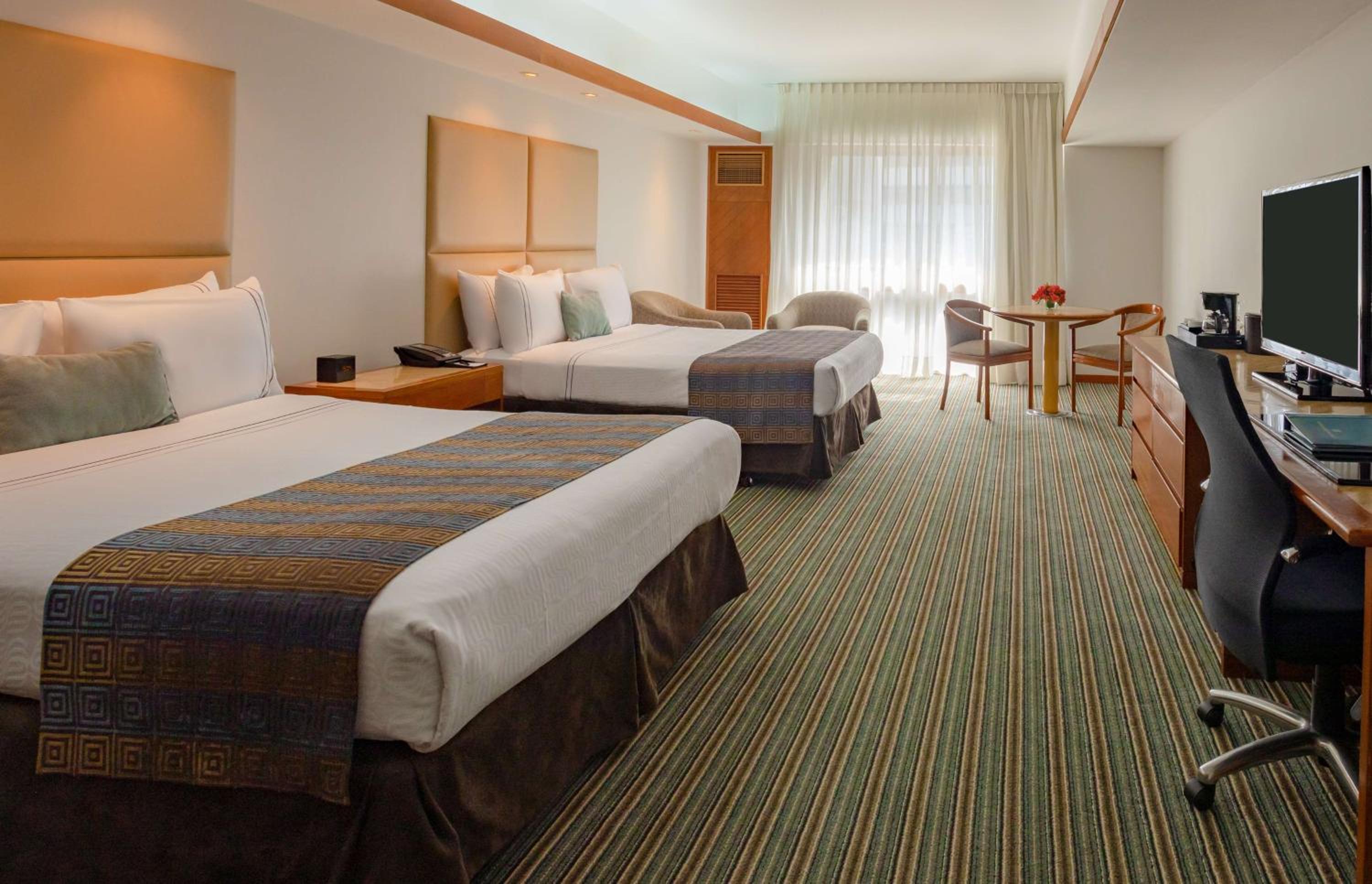 Executive Twin Room photo 1