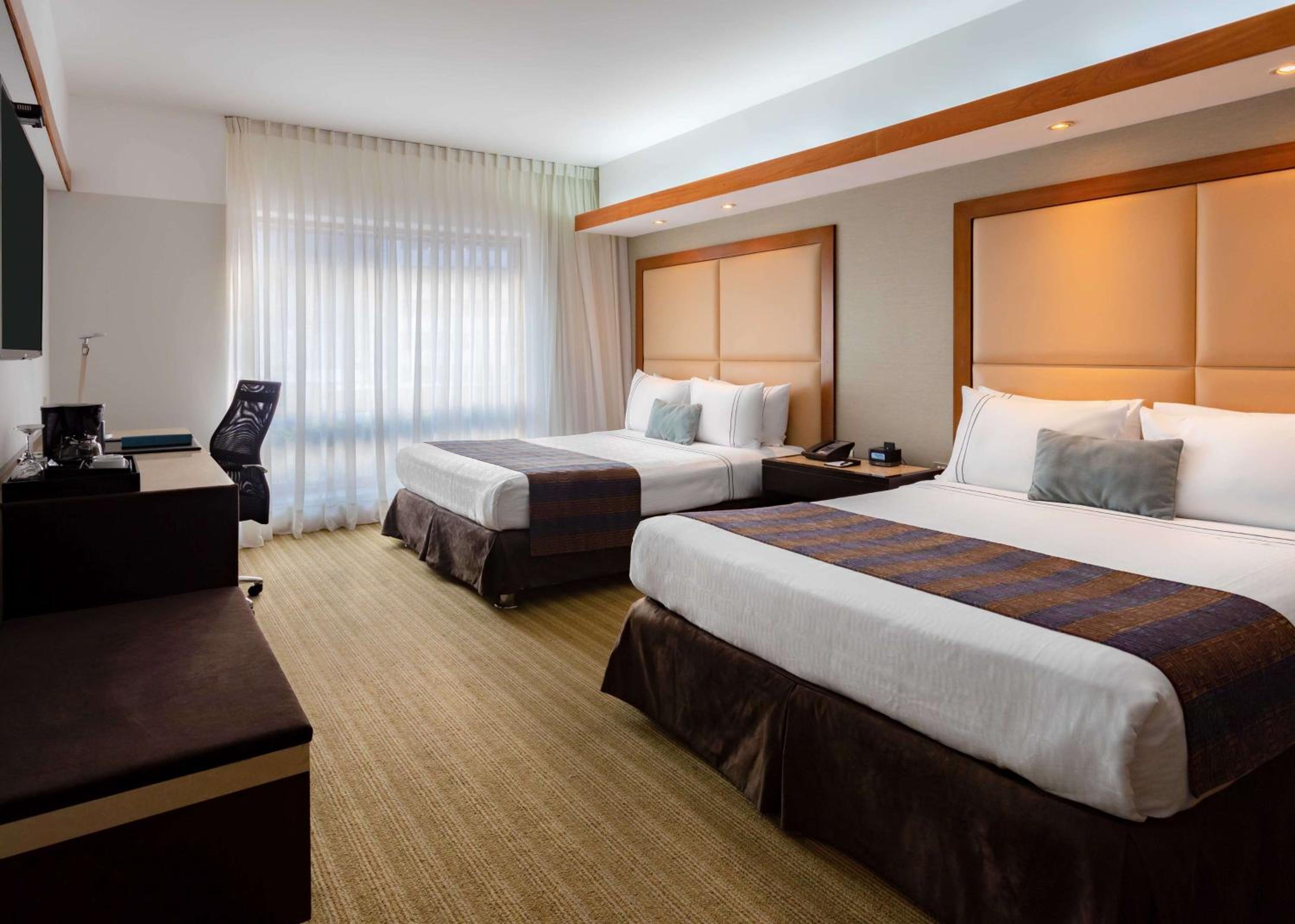 Twin Room photo 3