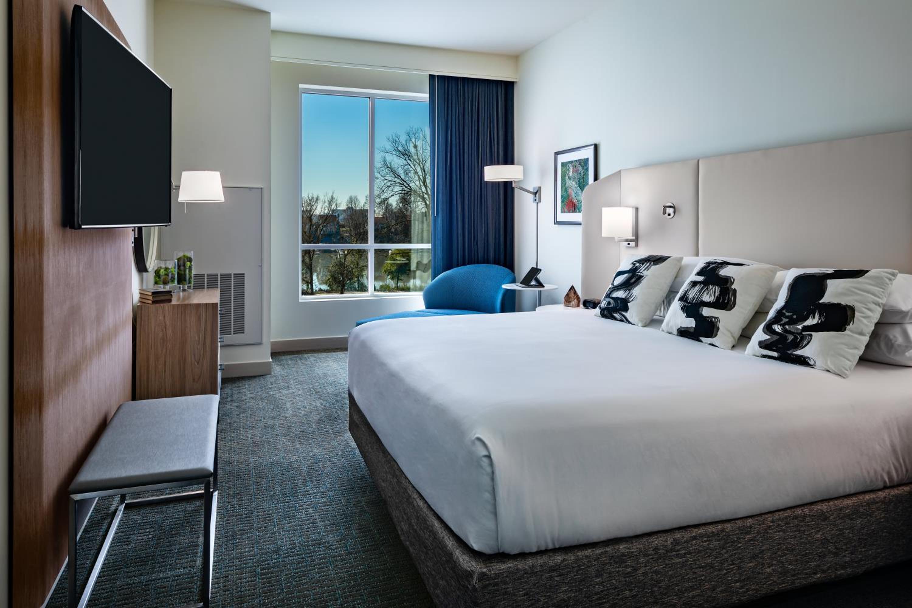 One-Bedroom Suite