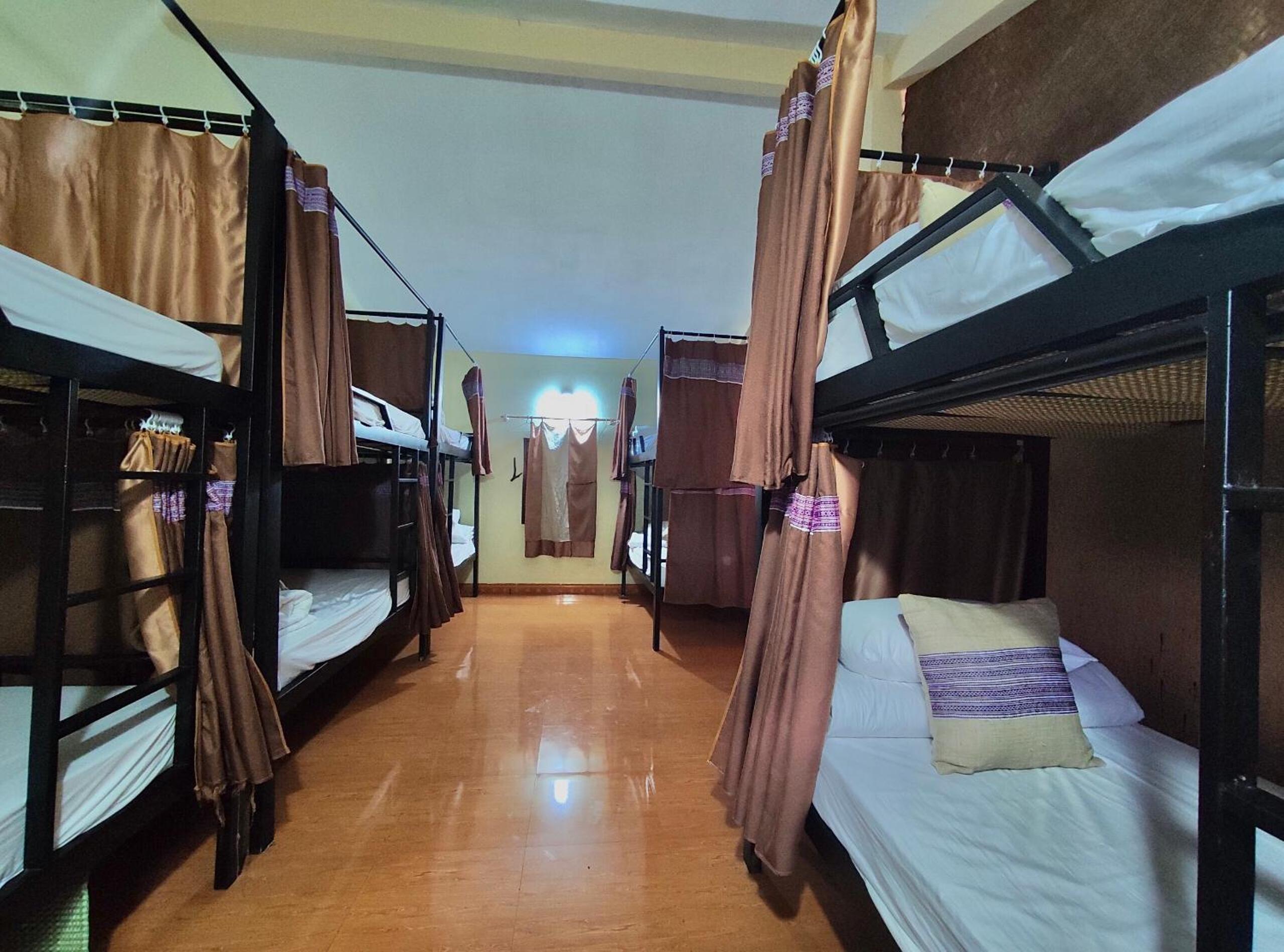 Bunk Bed in Mixed Dormitory Room photo 2
