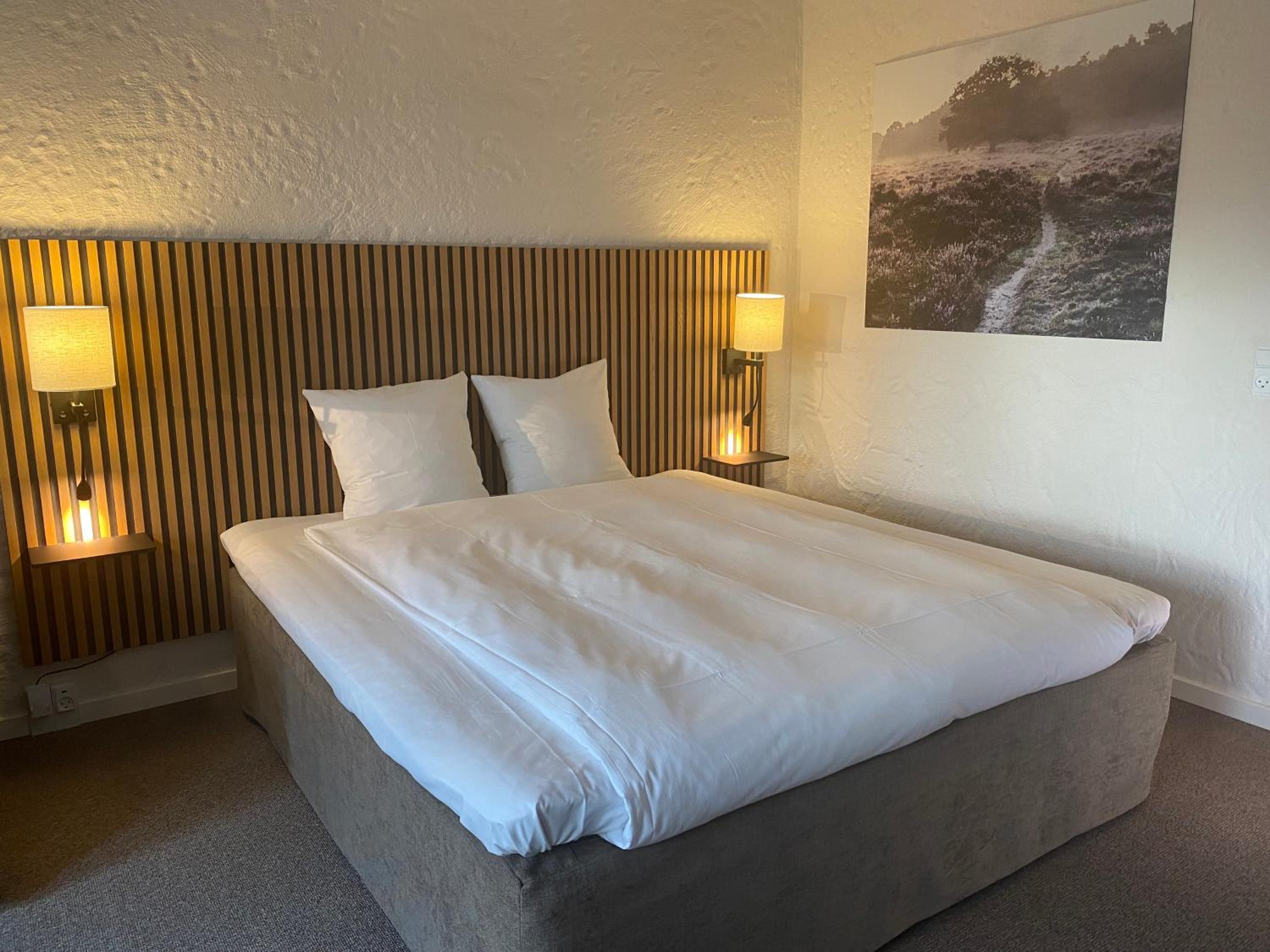 Superior Double Room photo 3