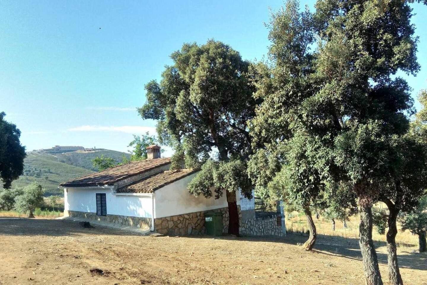 Two-Bedroom House photo 2