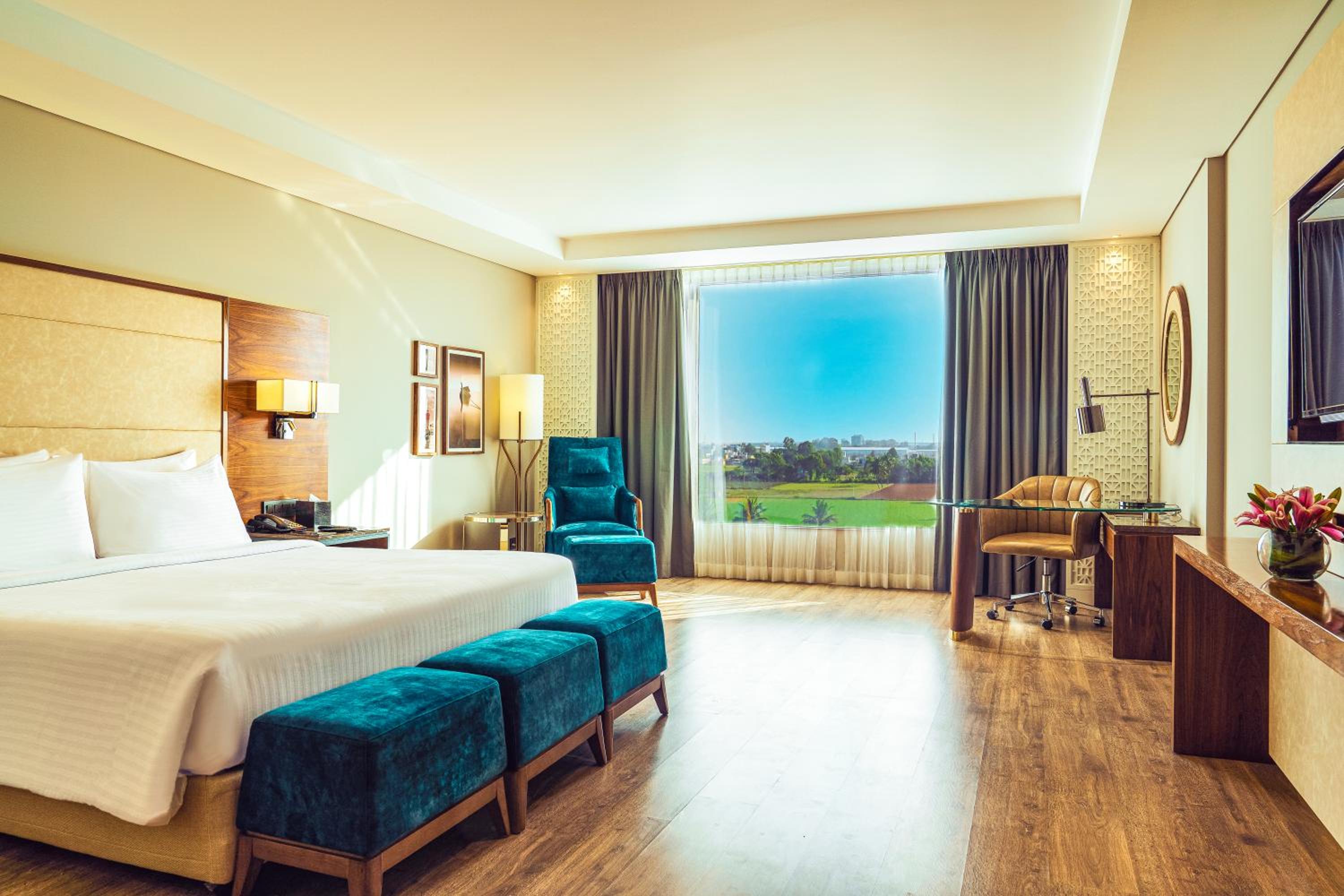Deluxe Room - Photo 3