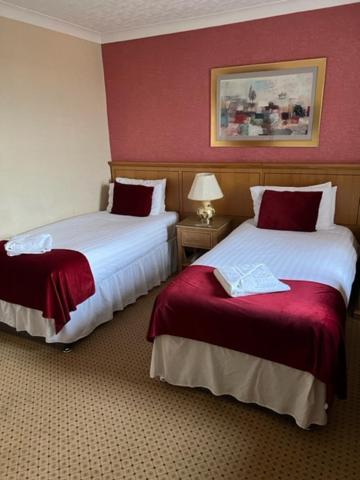 Deluxe Twin Room photo 1