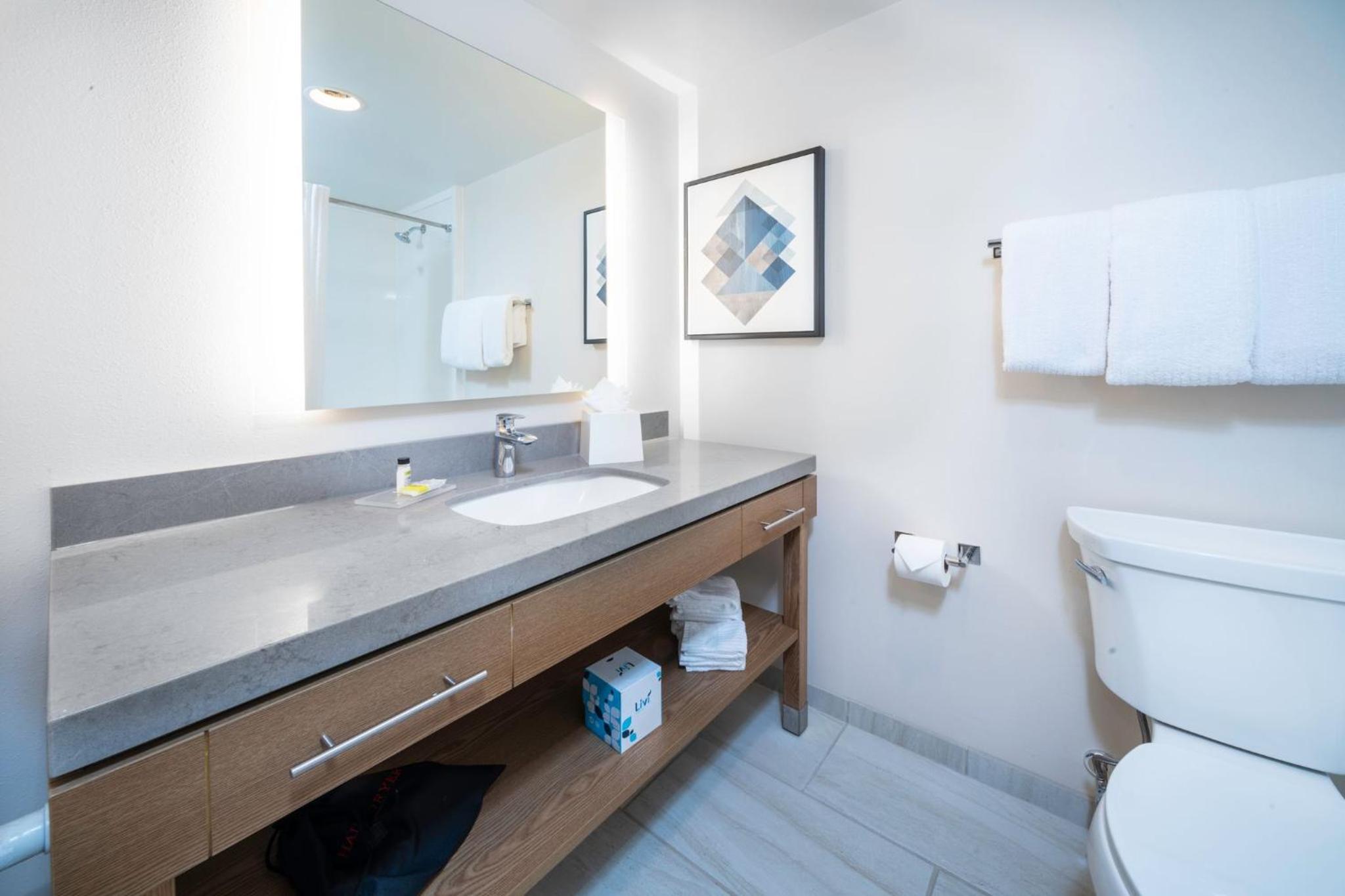King Studio Suite - Photo 2