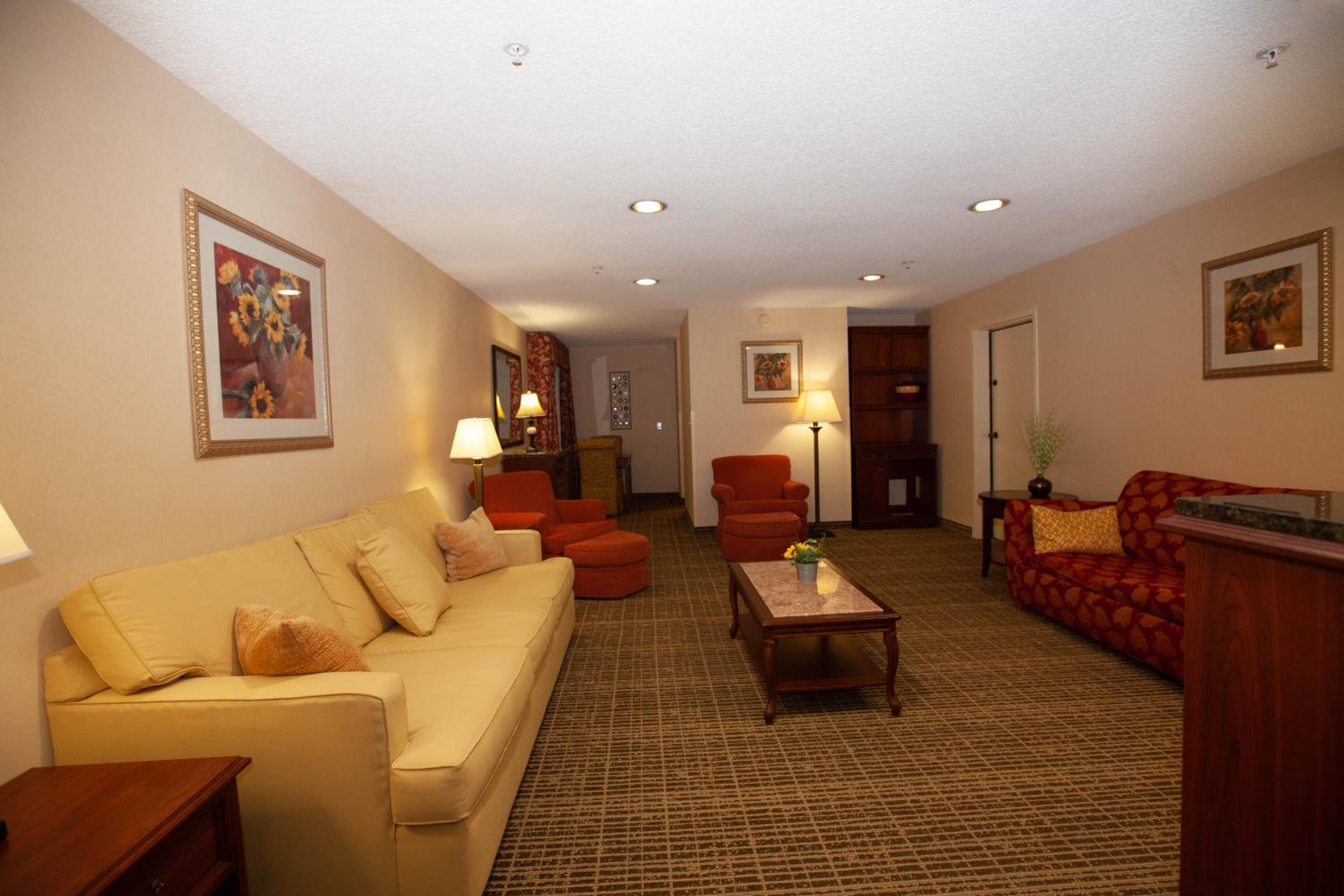 Deluxe King Apartment Suite - Non-Smoking - Photo 6