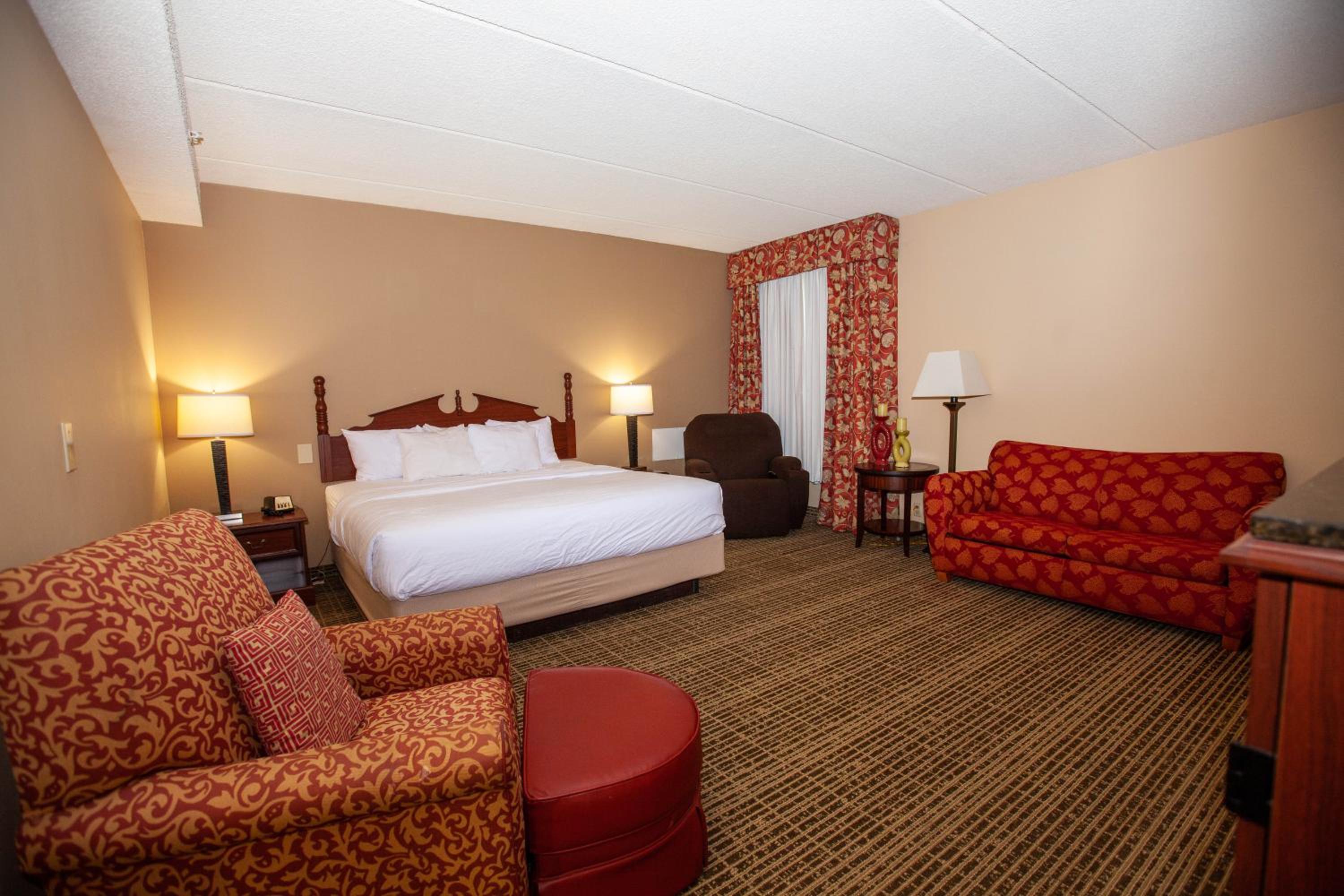 Deluxe King Apartment Suite - Non-Smoking - Photo 4