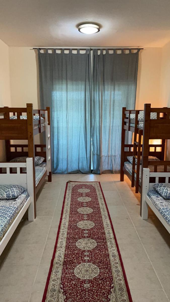 Bunk Bed in Mixed Dormitory Room photo 2