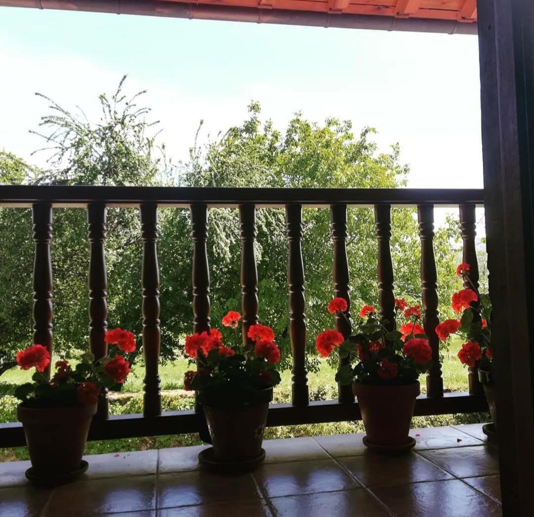 Double Room with Balcony photo 2