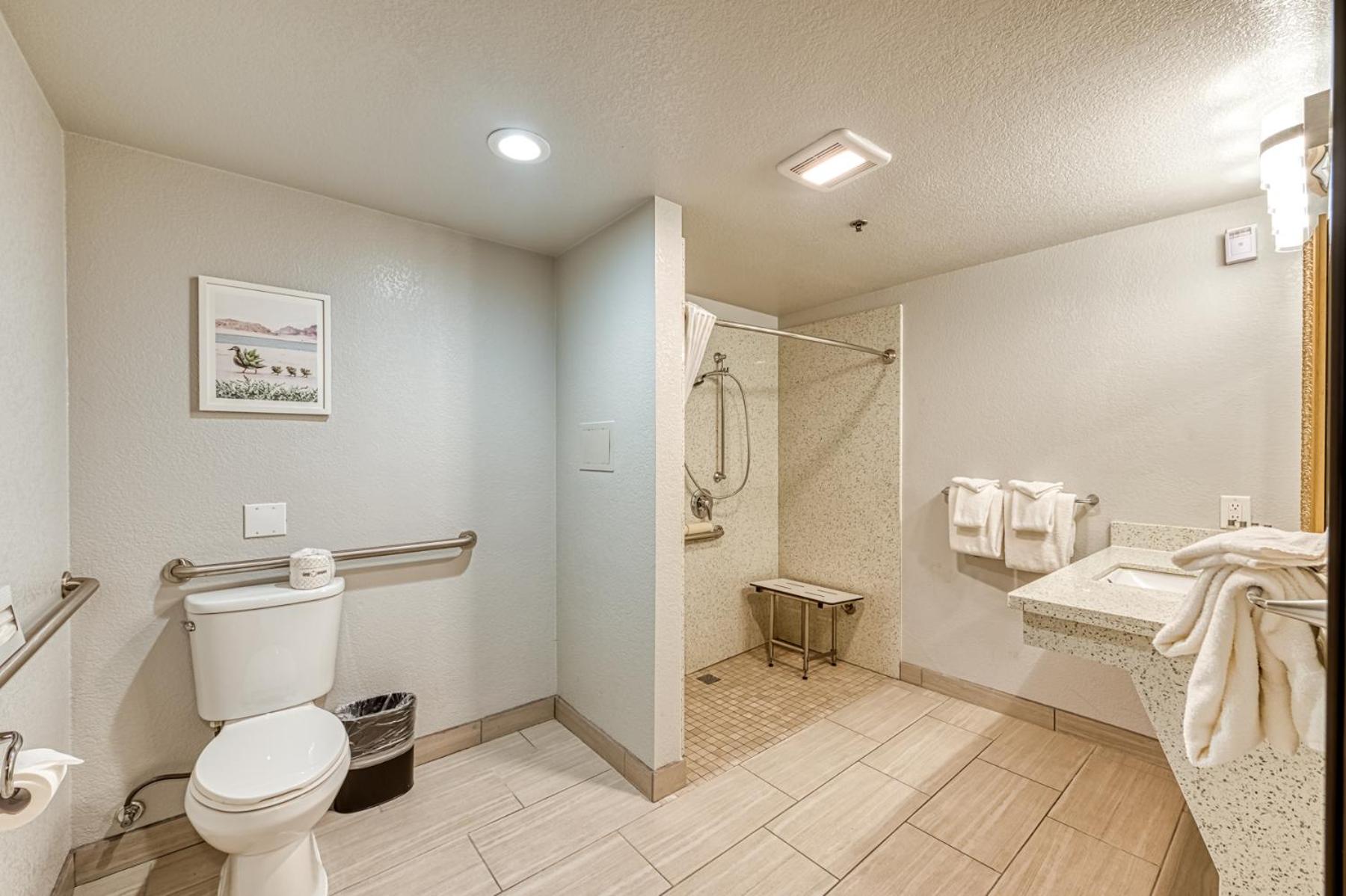 King Room with Roll-In Shower - Accessible/Non Smoking - Photo 3