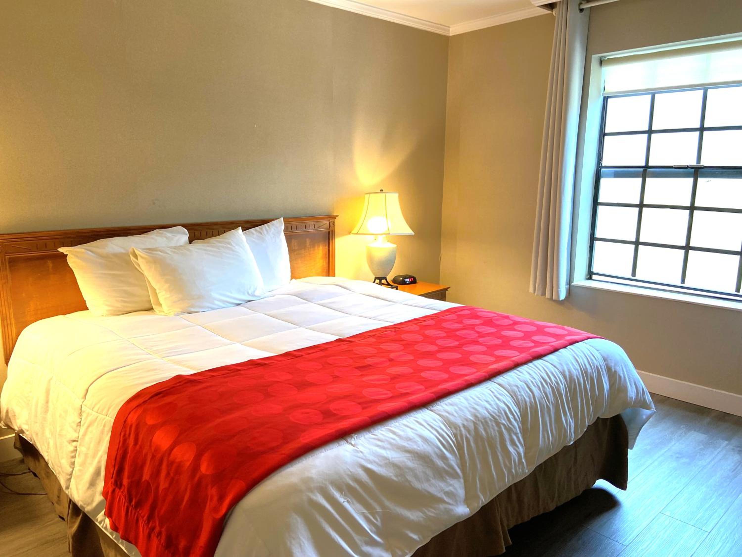 One-Bedroom King Suite - Non-Smoking