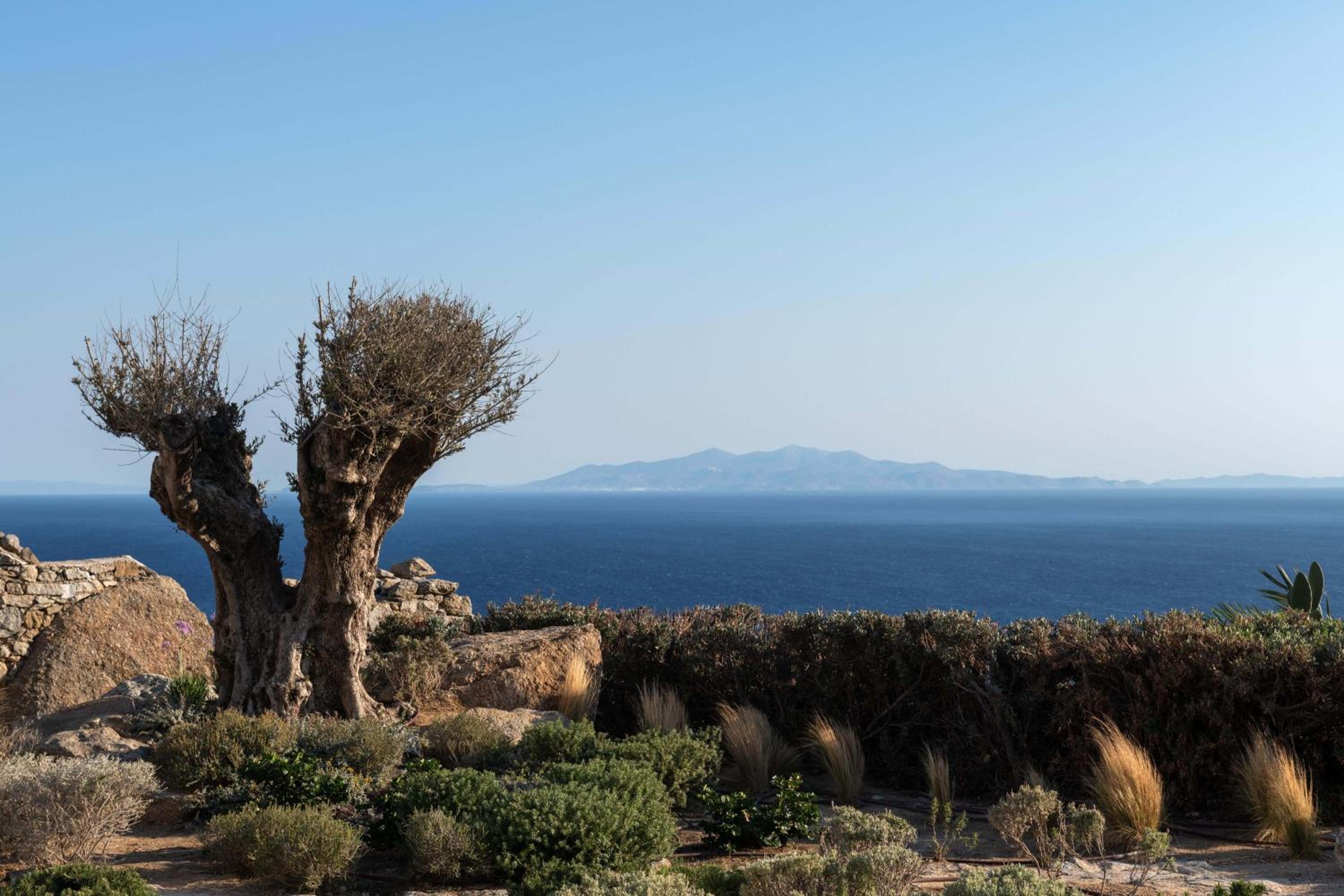 Villa - Photo 4