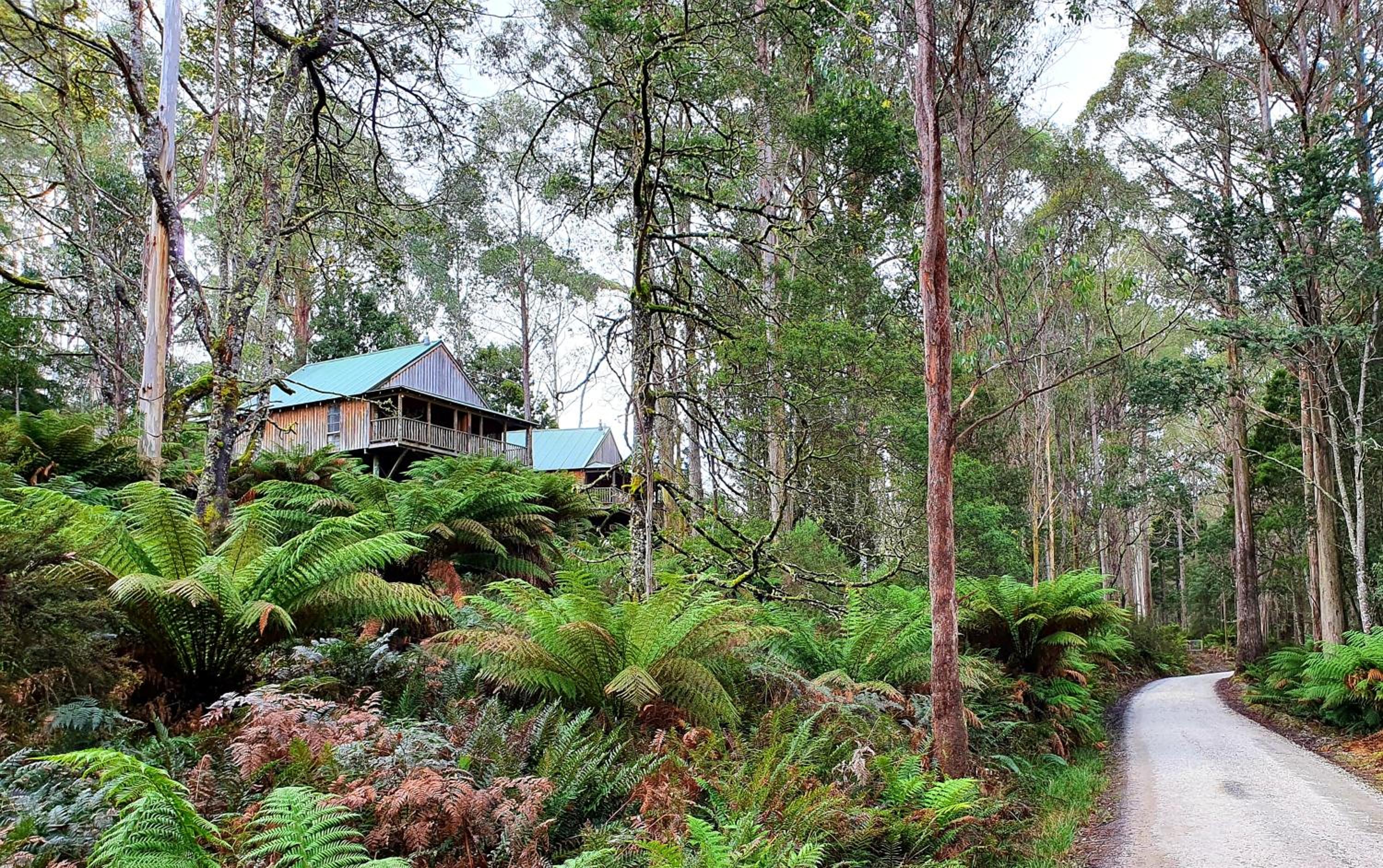 Wilderness Chalet photo 2