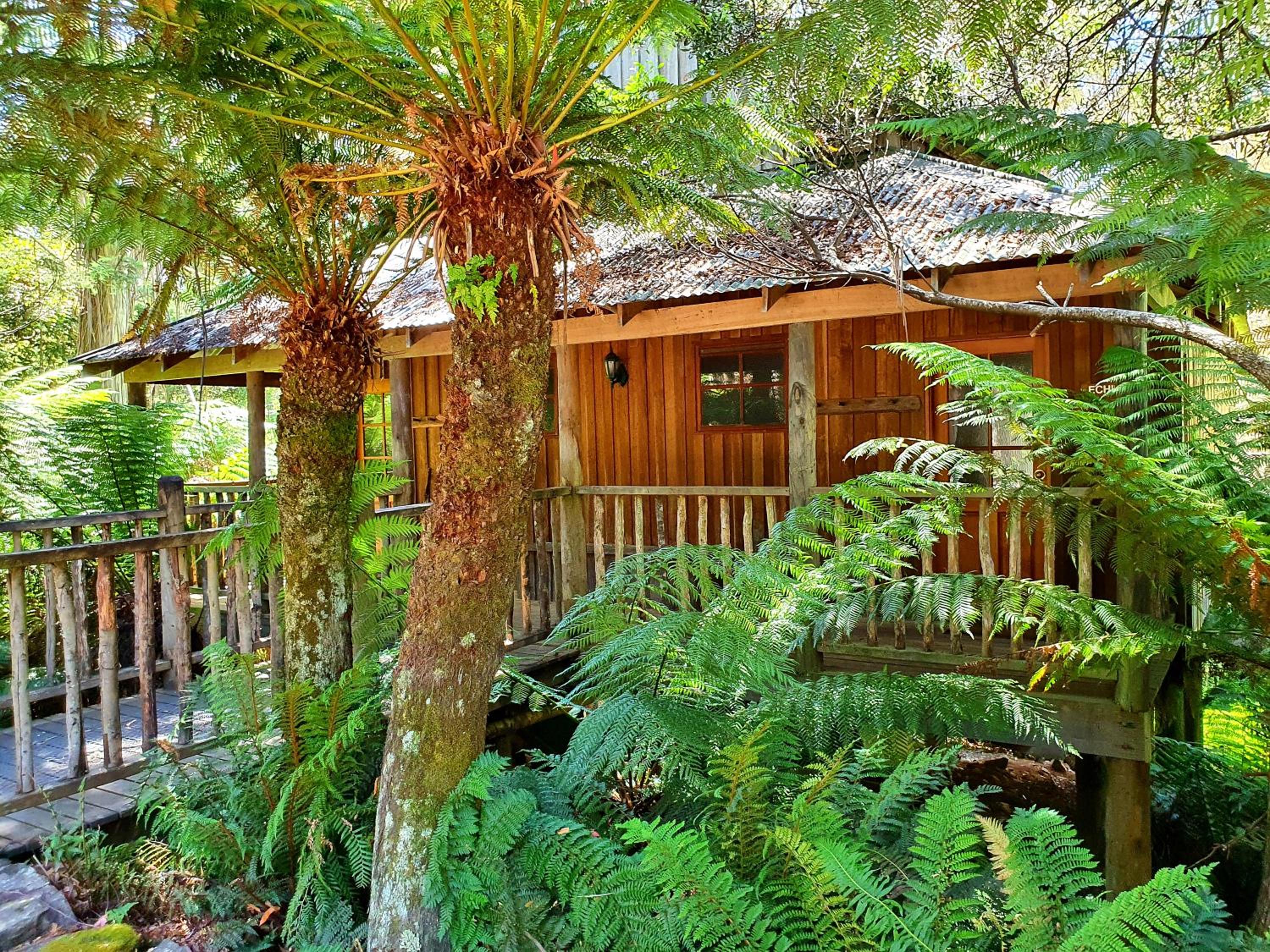 Wilderness Chalet photo 3