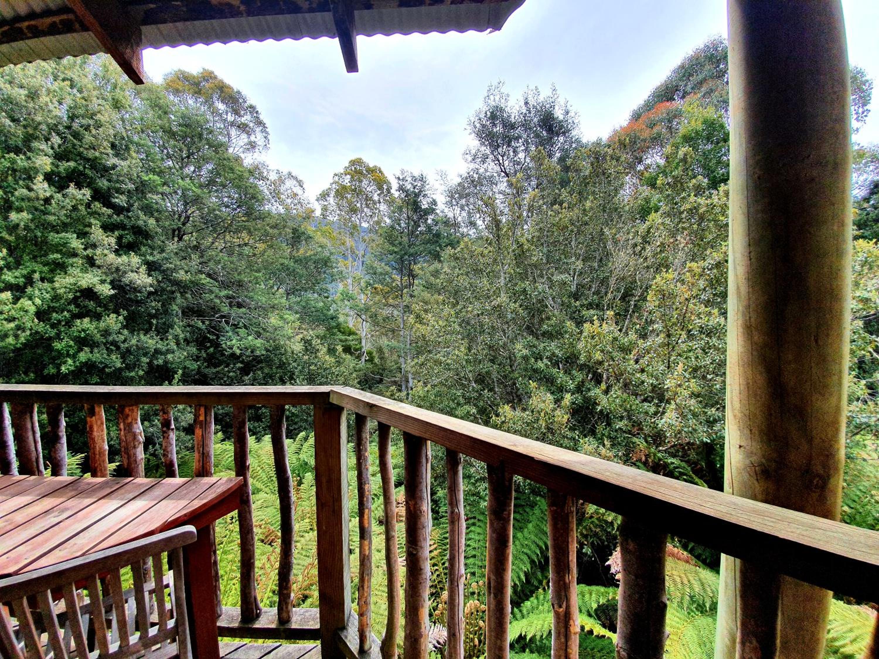 Luxury Wilderness Suite with Spa Bath photo 2