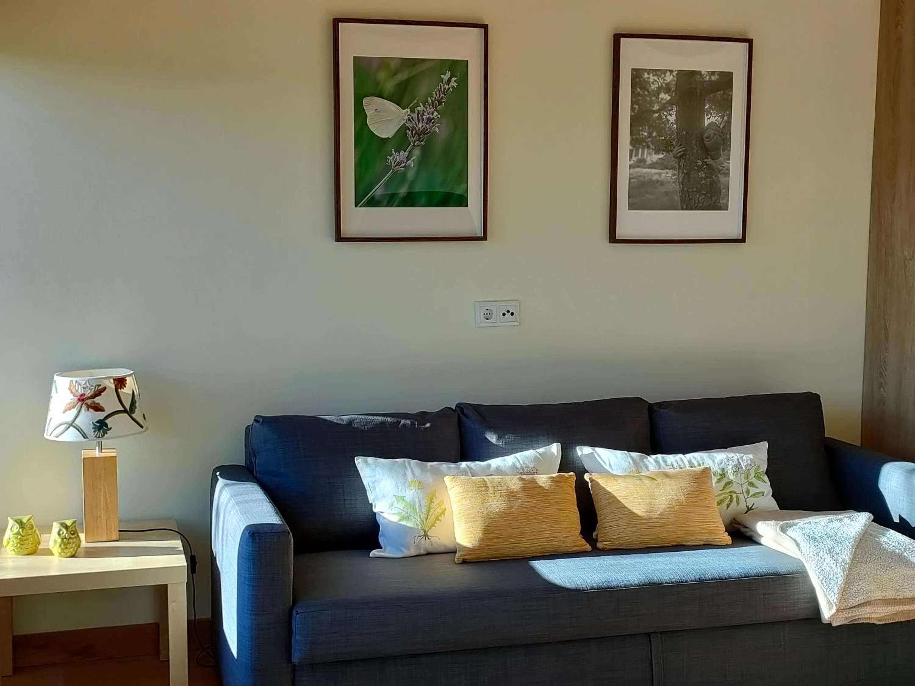 One-Bedroom House photo 3