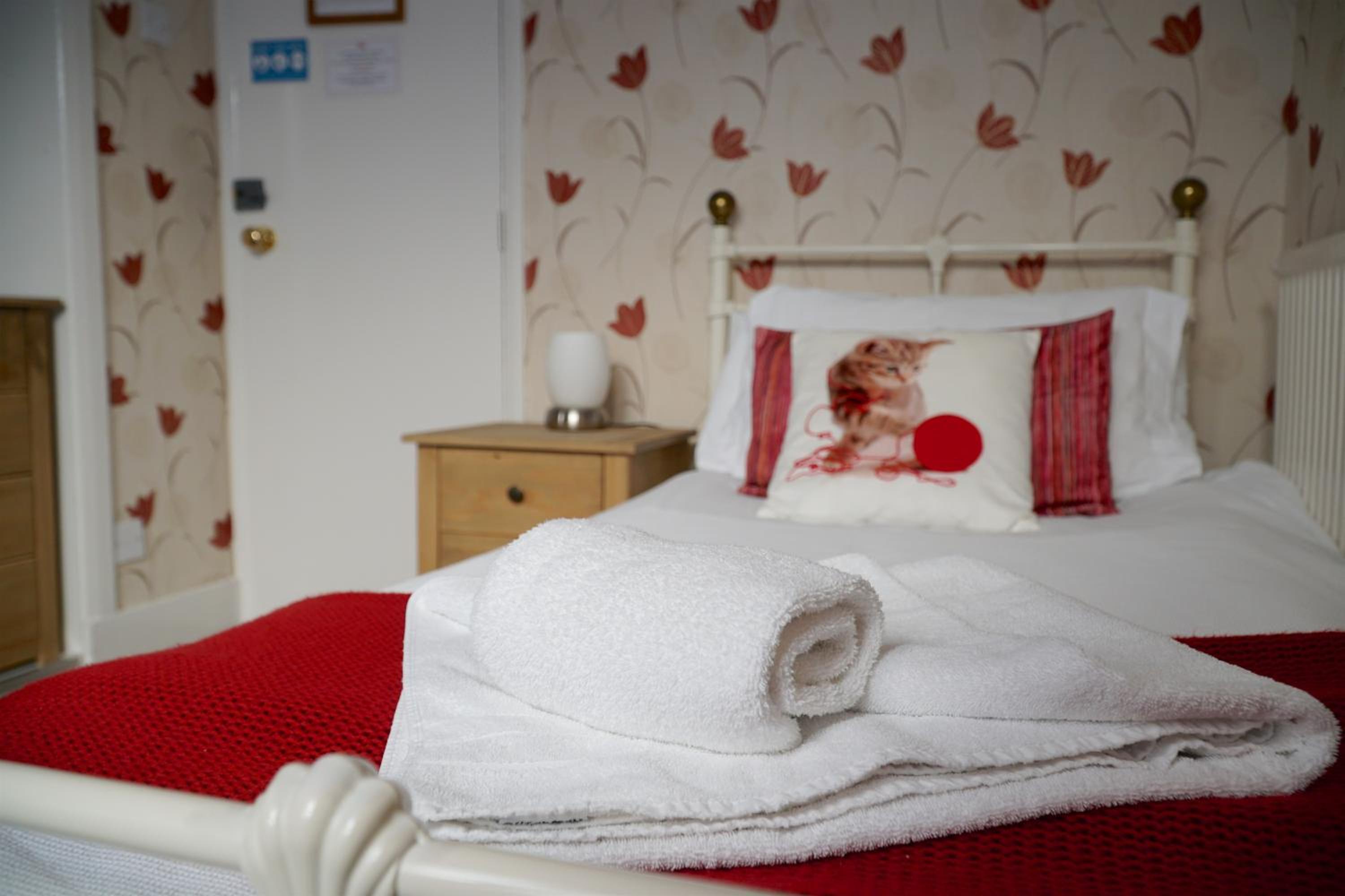 Single Room photo 2