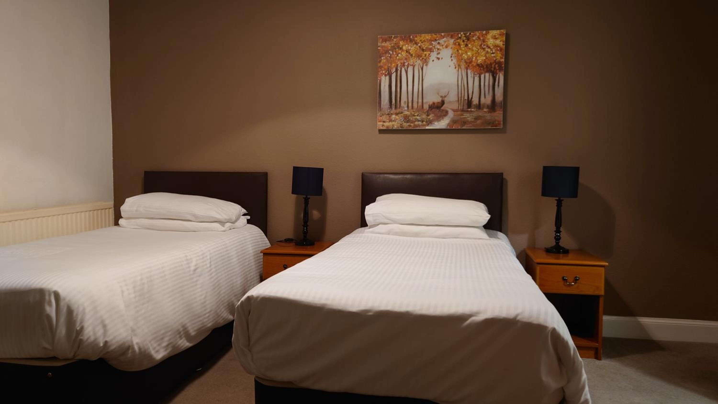 Large Twin Room photo 2