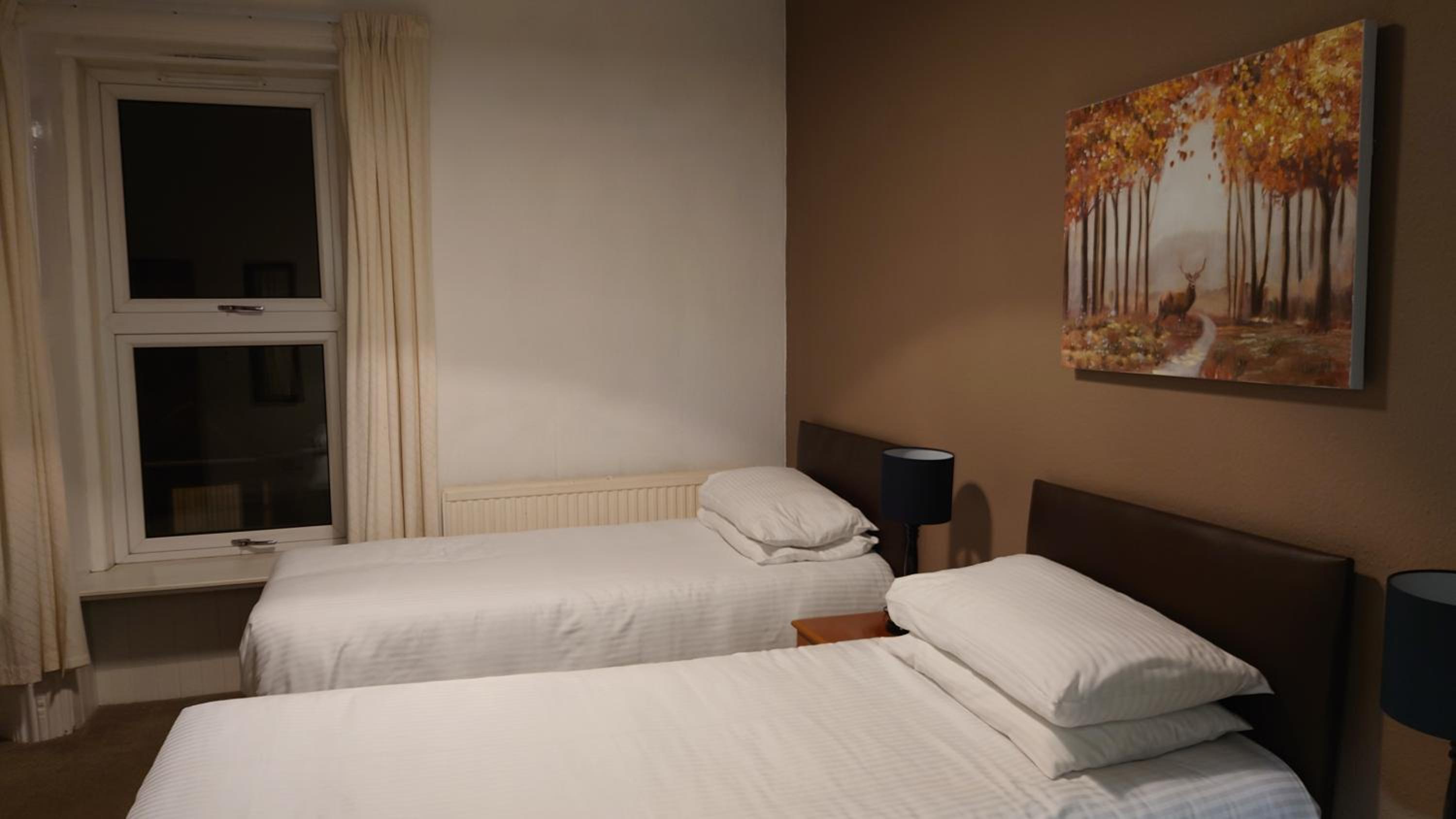 Large Twin Room photo 3