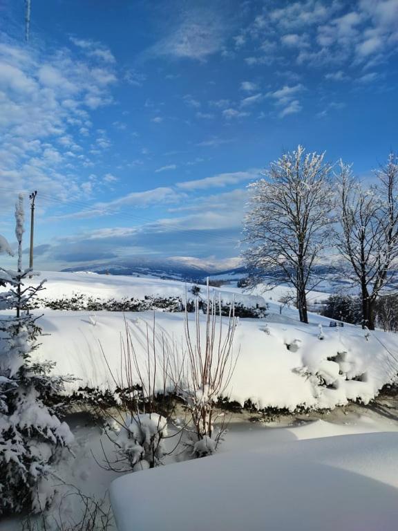 Triple Room with Mountain View photo 3