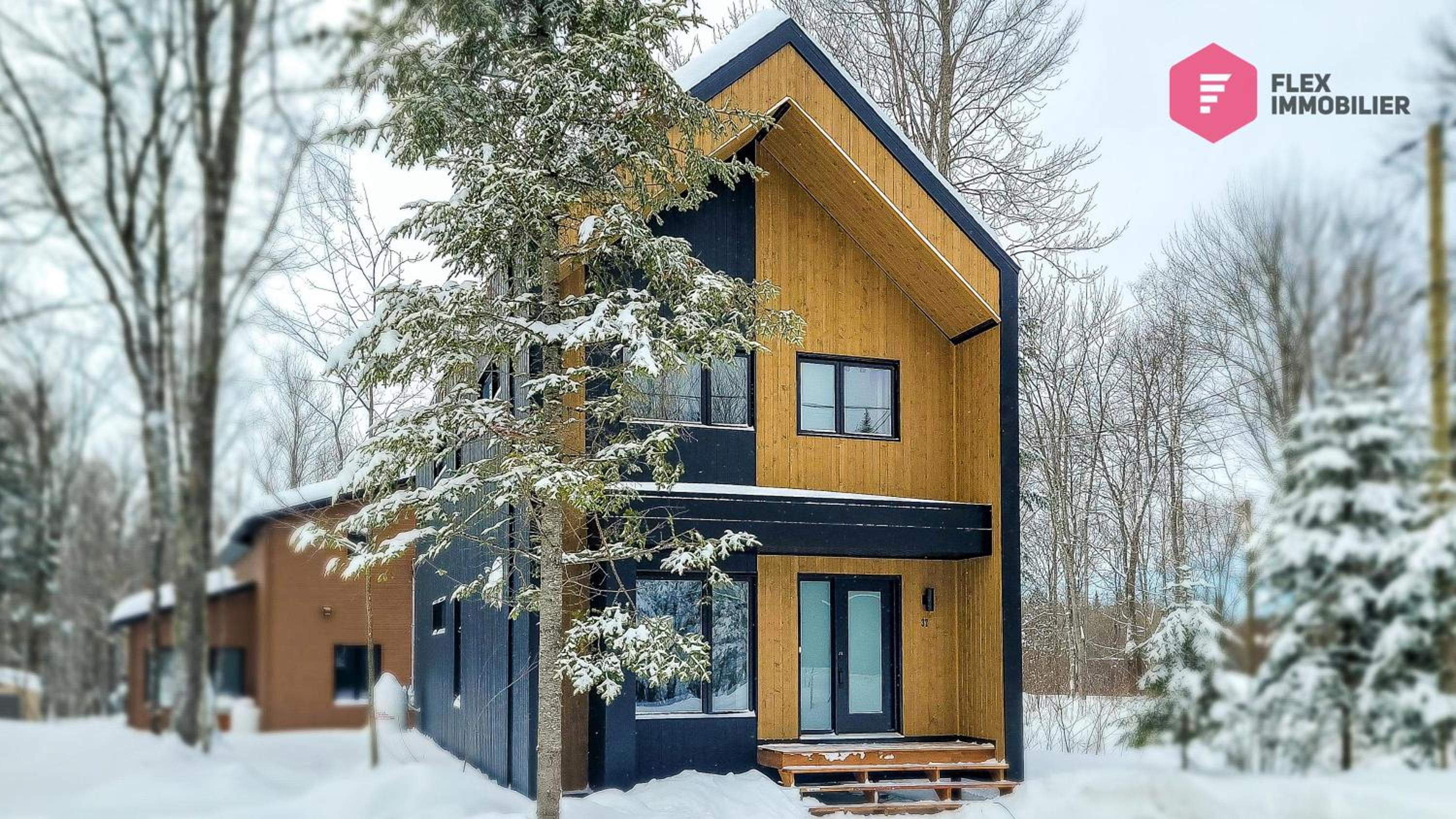 Chalet photo 3