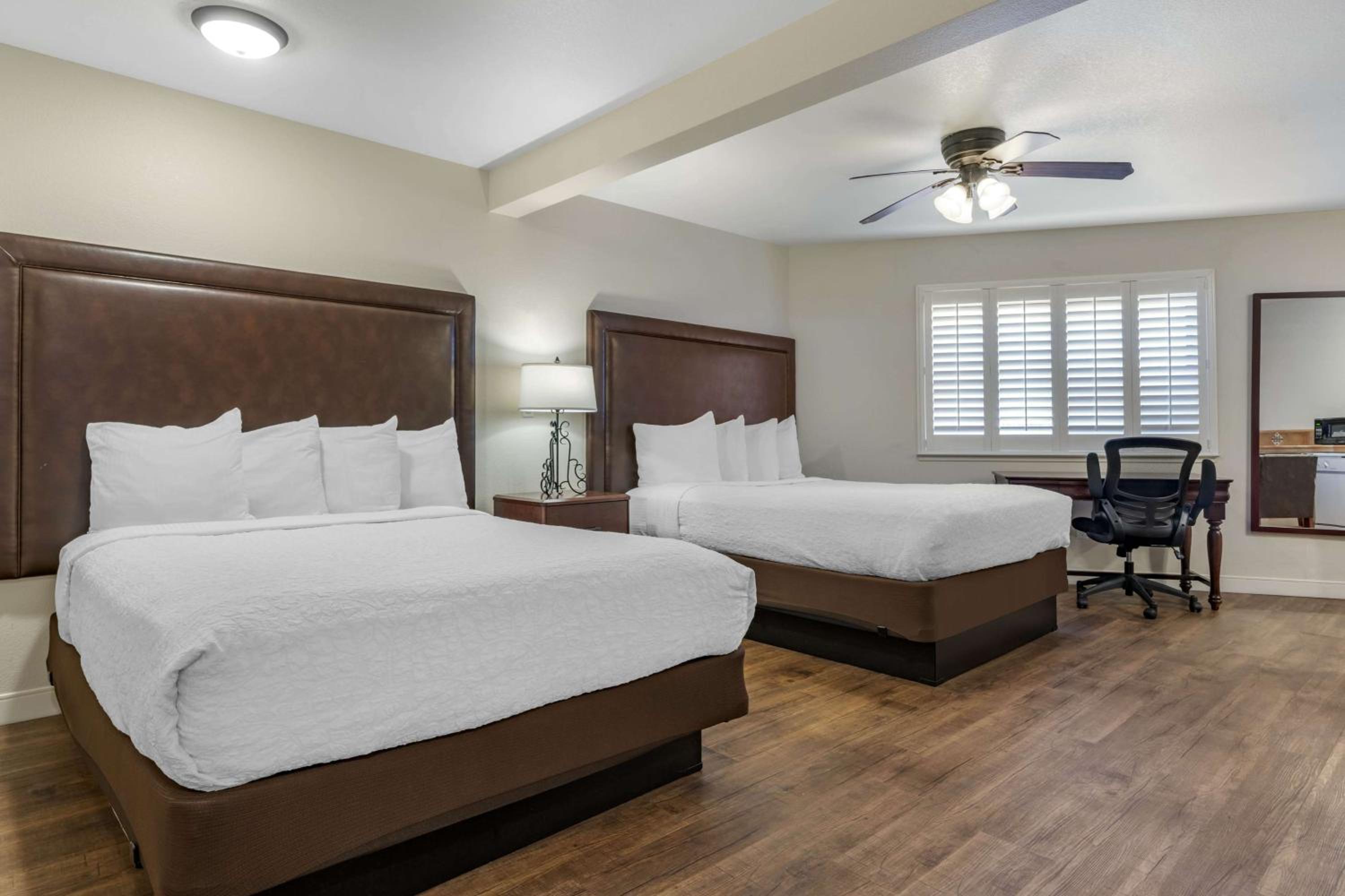 Studio Queen Suite with Two Queen Beds, Sofa Bed, Full Kitchen and Patio - Non-Smoking - Photo 1