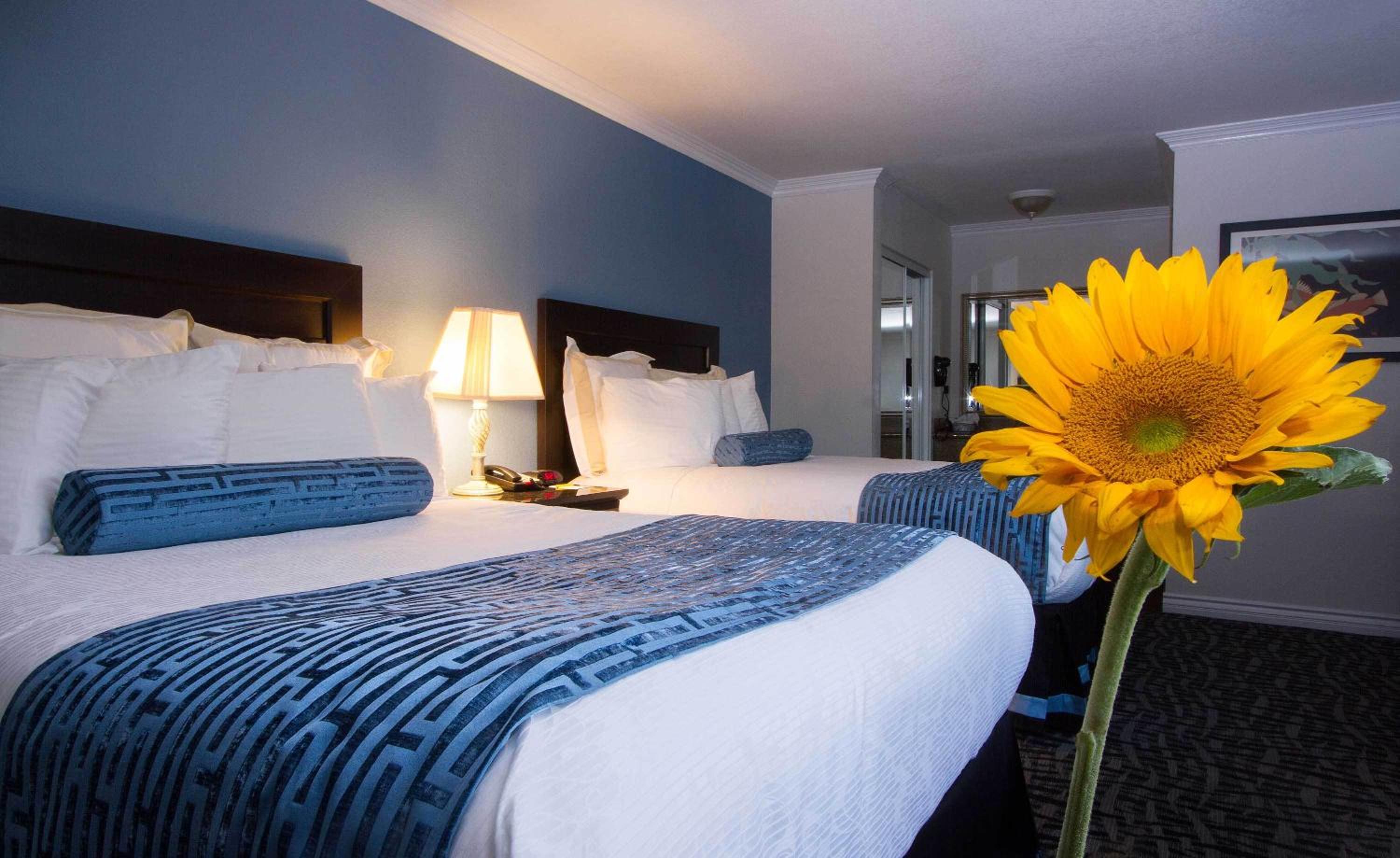 Queen Room with Two Queen Beds and Sofa Bed photo 1