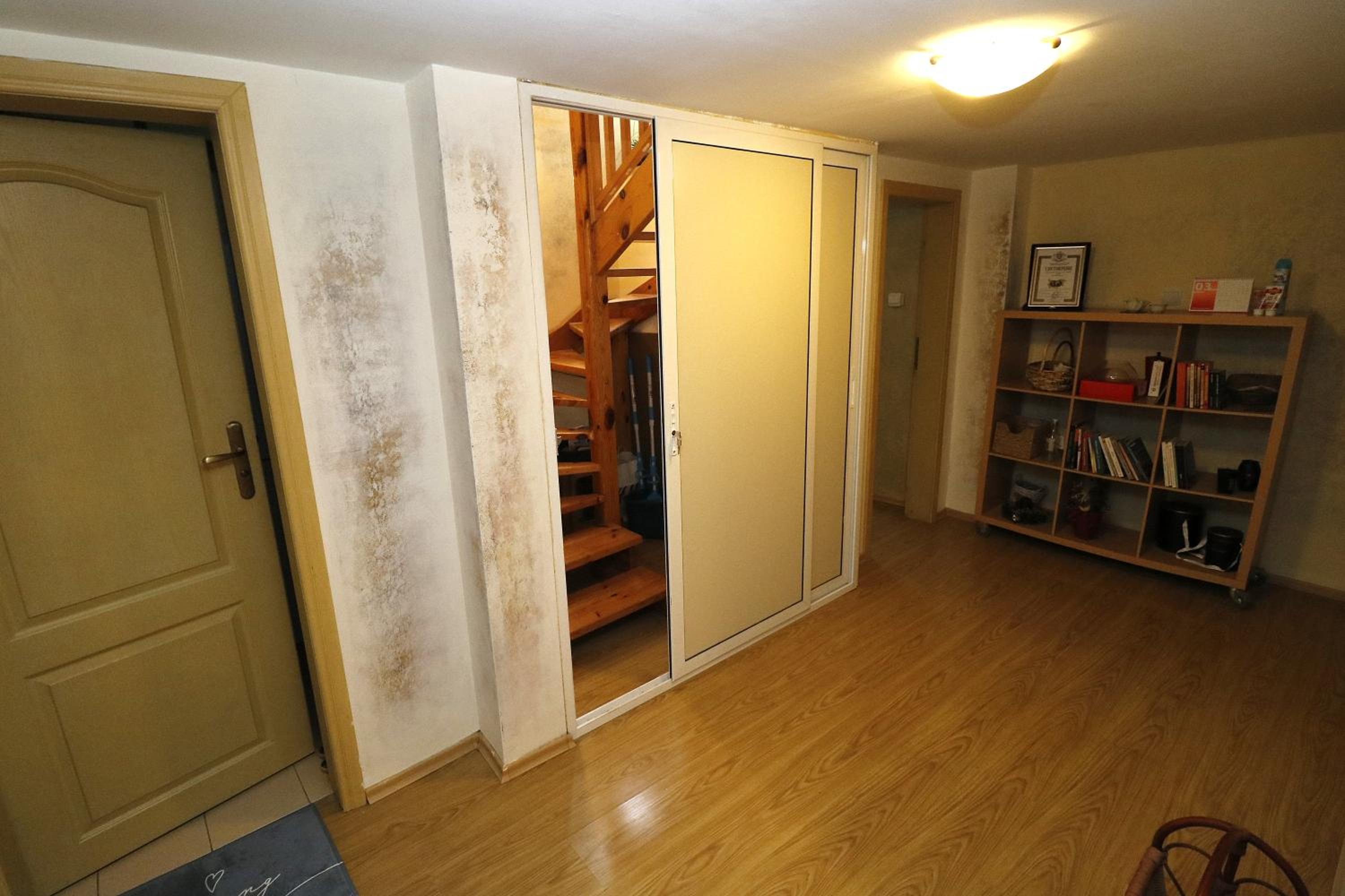 Duplex Apartment photo 1