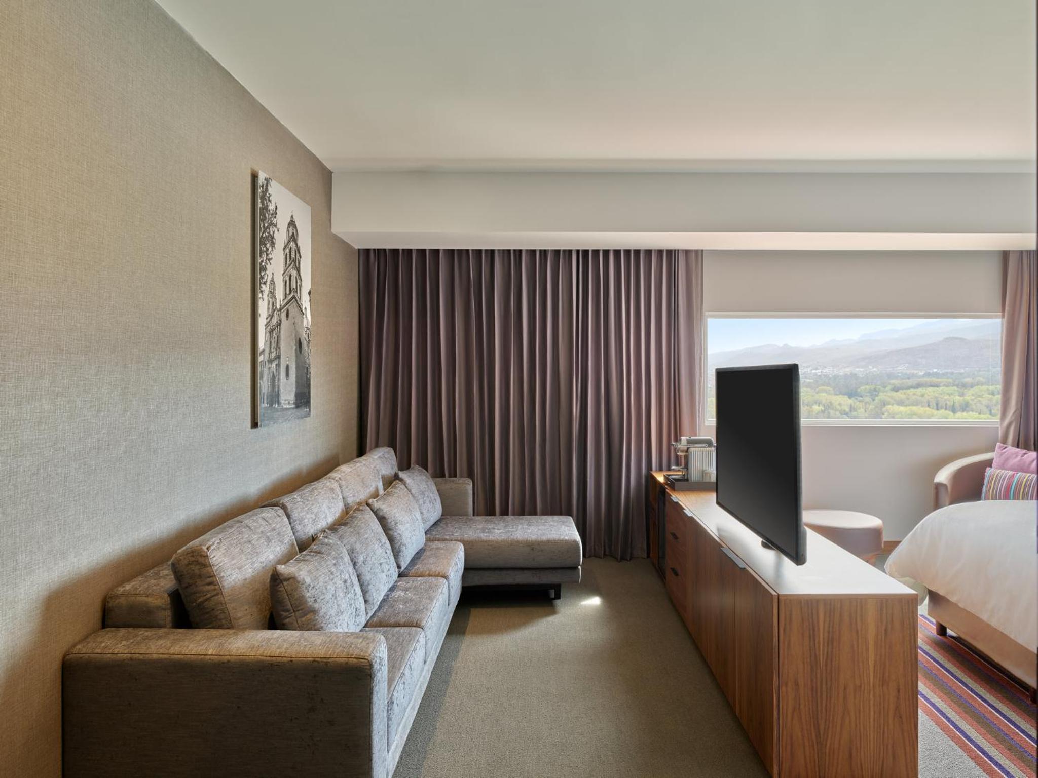 Junior Suite 1 King - Photo 2
