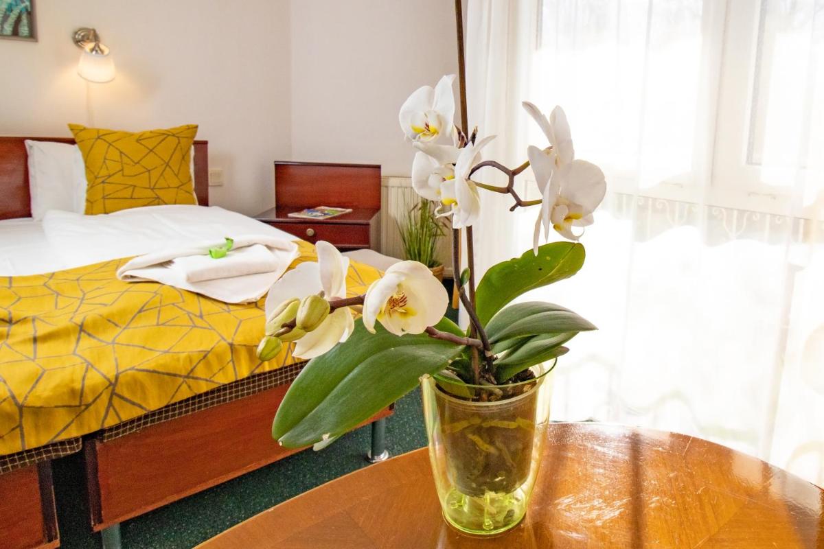 Double Room with Patio - Photo 1