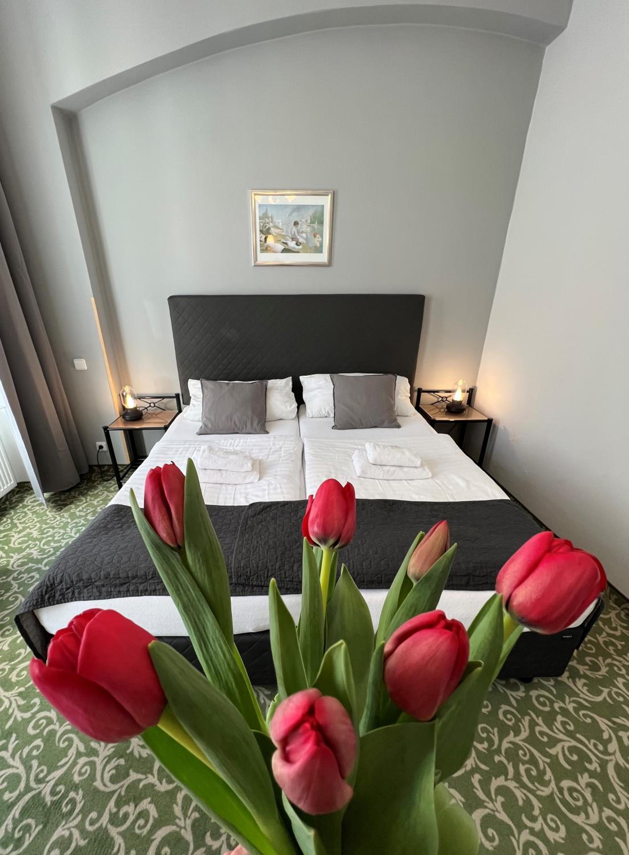Deluxe Double or Twin Room - Photo 3