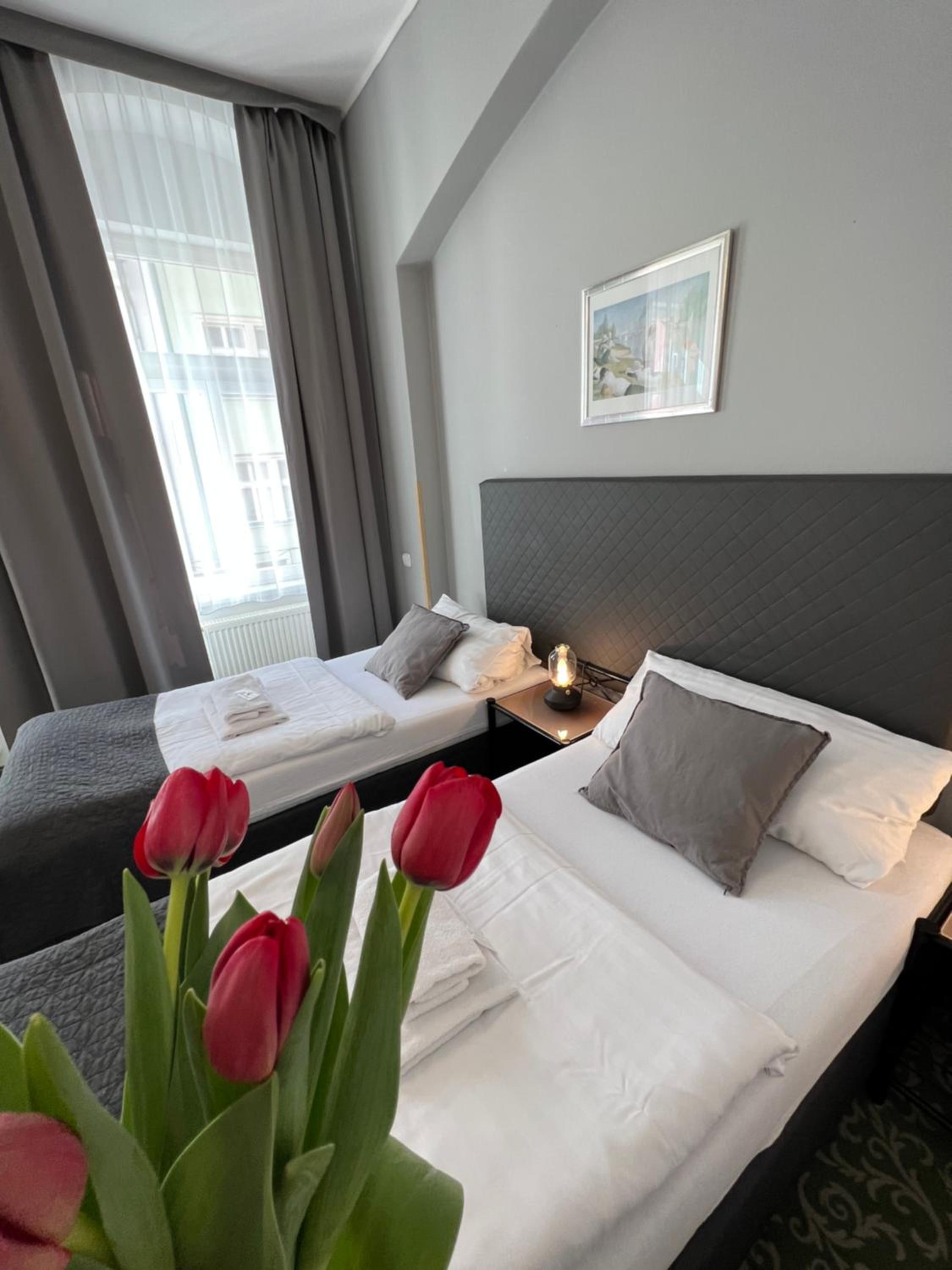 Deluxe Double or Twin Room - Photo 2
